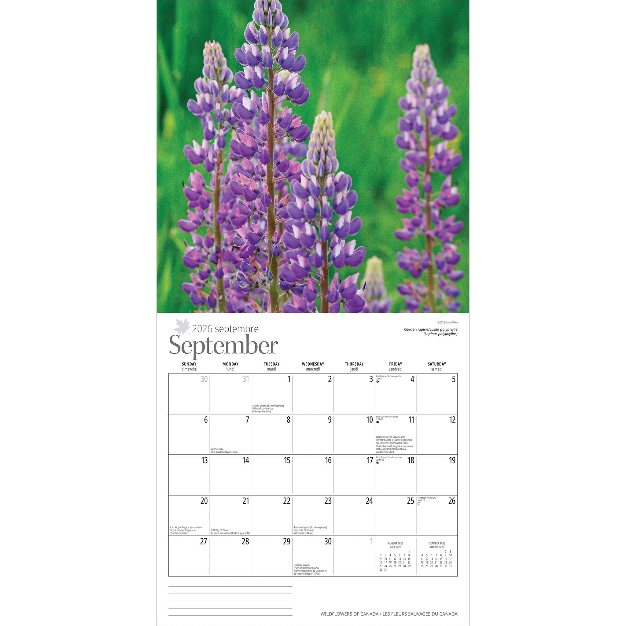 Calendrier mural Fleurs sauvages du Canada 2026
