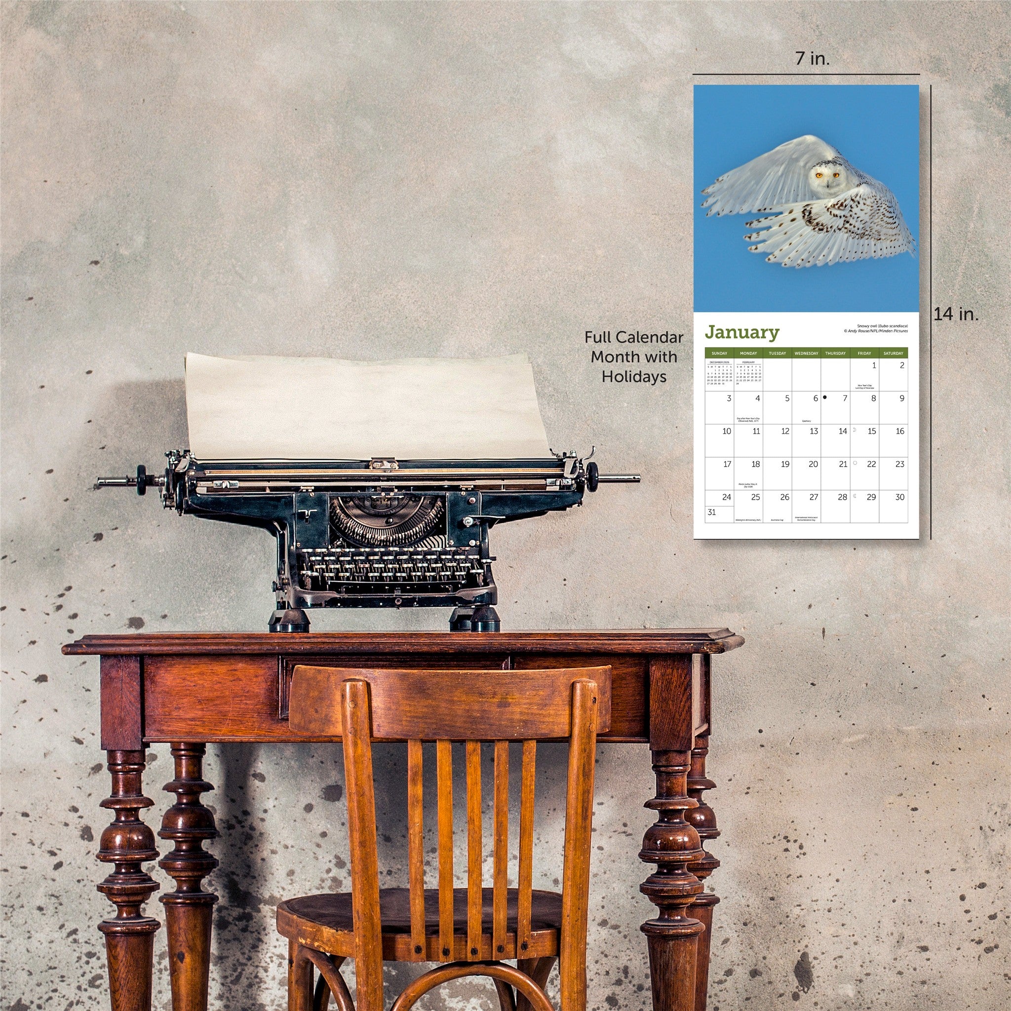 Mini-calendrier Hiboux 2027