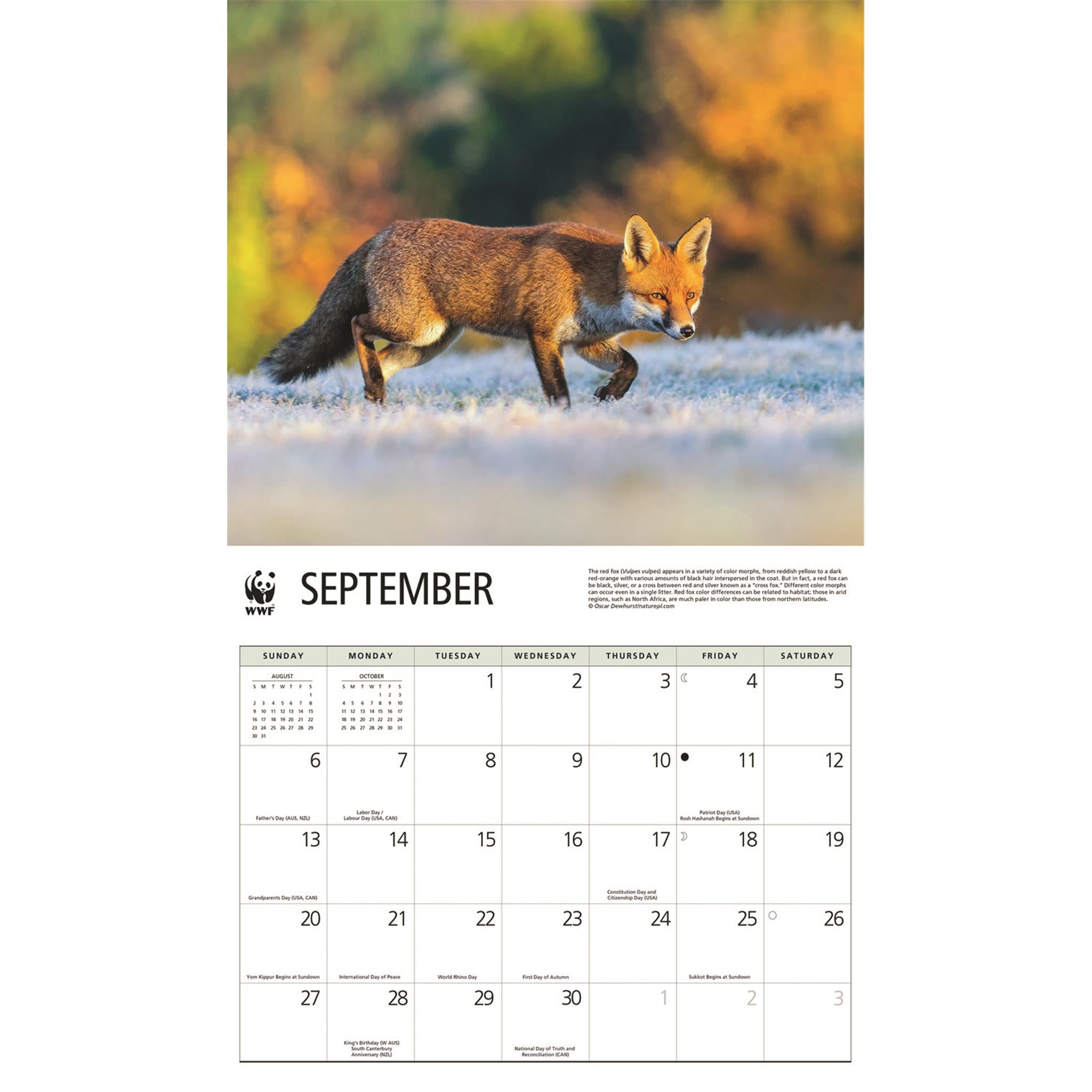 World Wildlife Fund Foxes 2026 Wall Calendar