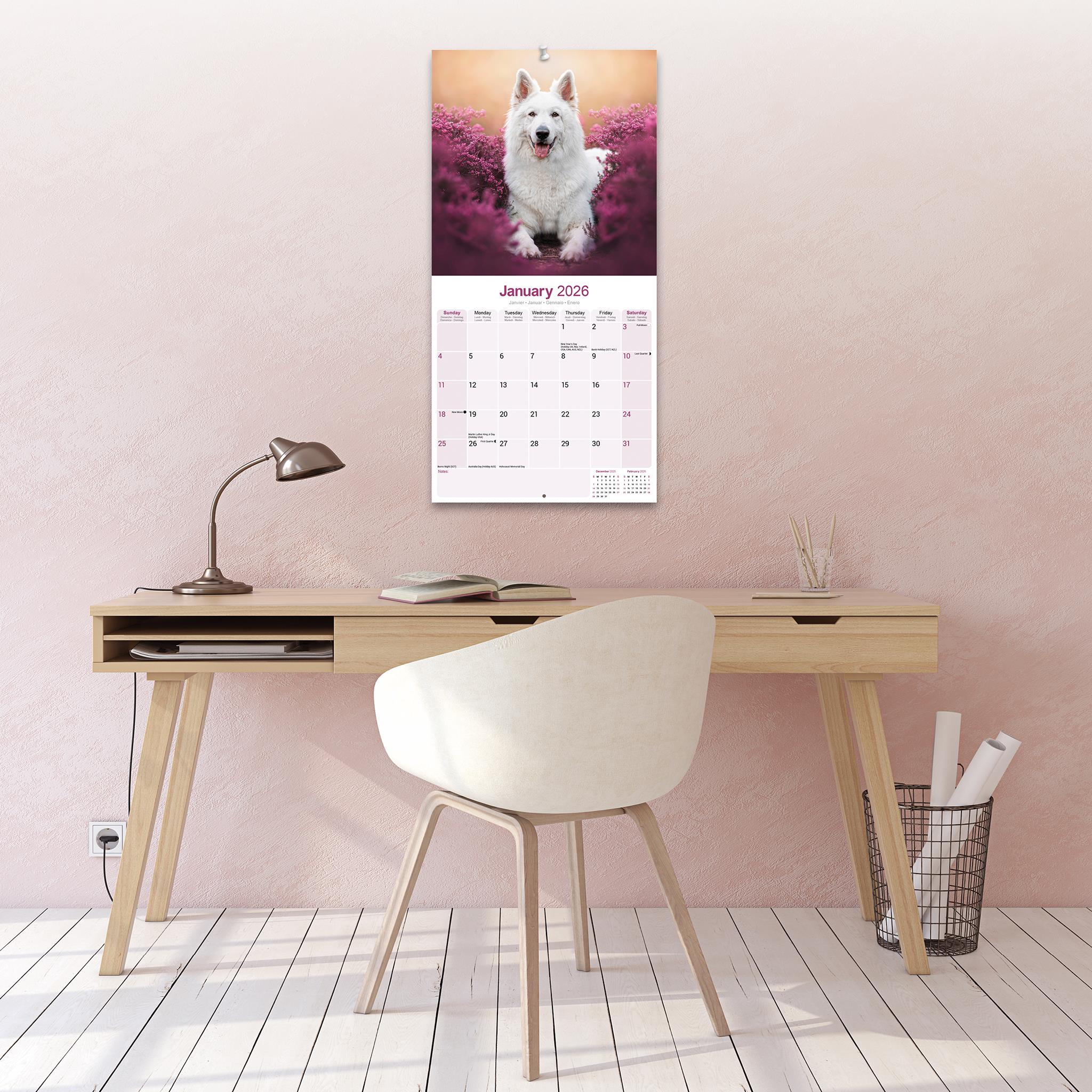 White Shepherd 2026 Wall Calendar