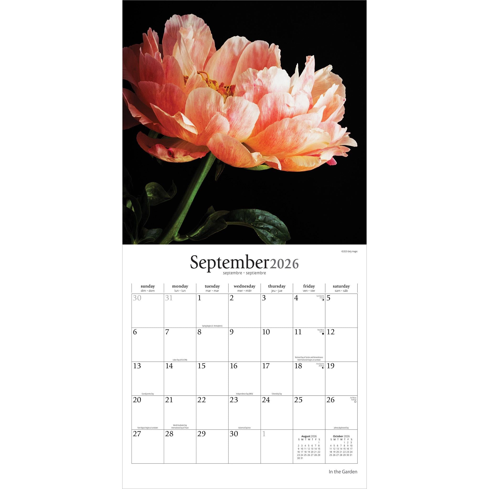 In The Garden 2026 Wall Calendar