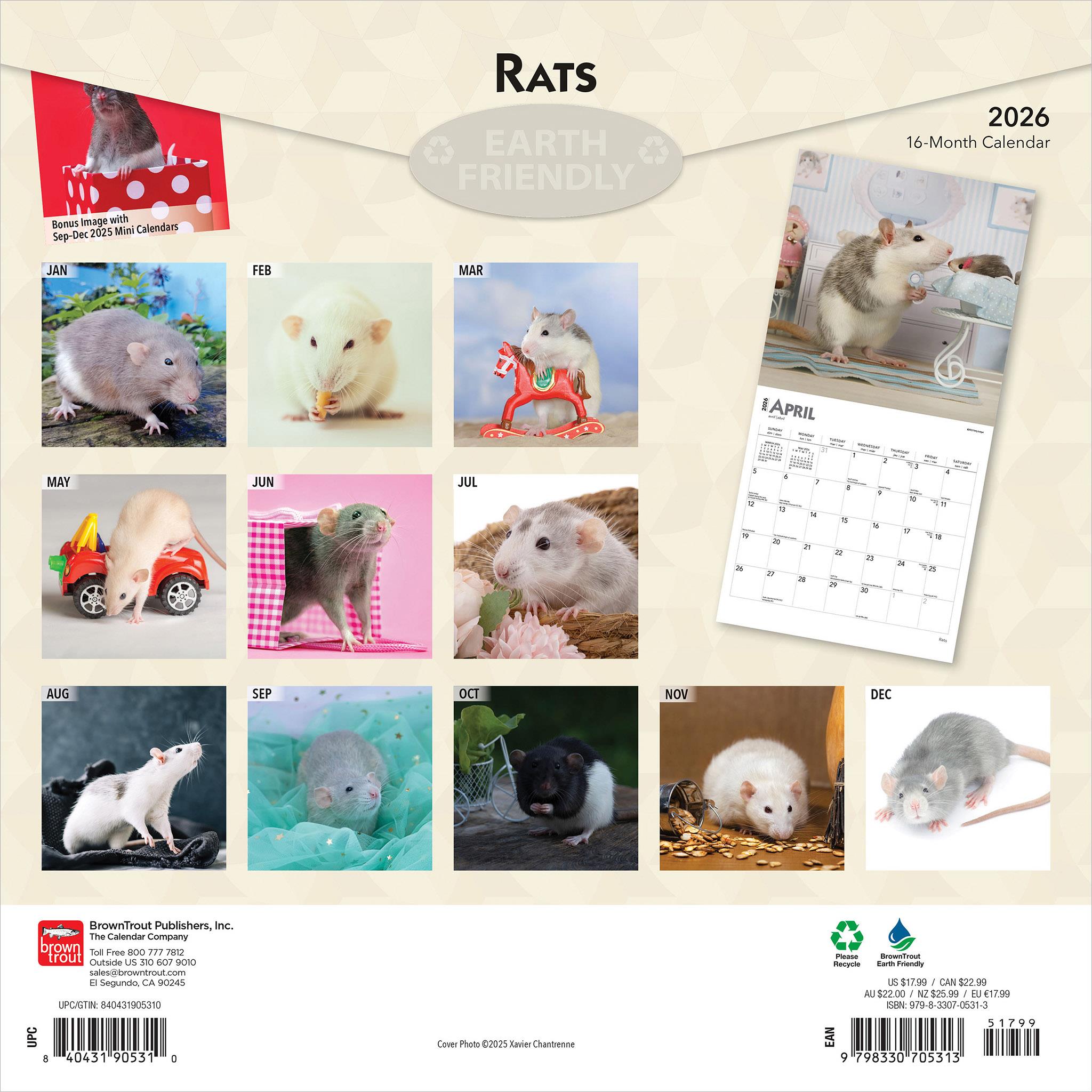 Calendrier mural Rats 2026