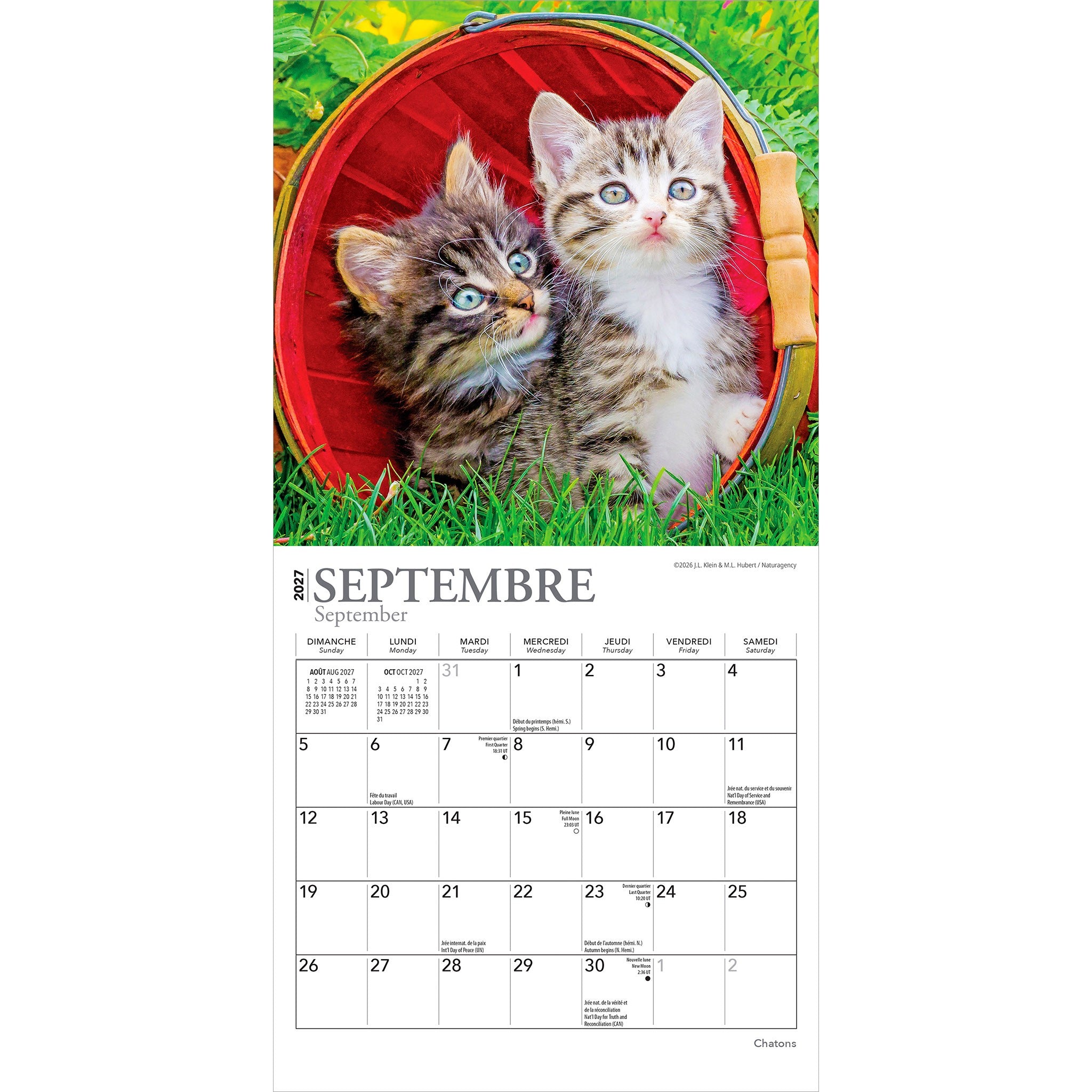 Chatons 2027 Mini Calendar (French)