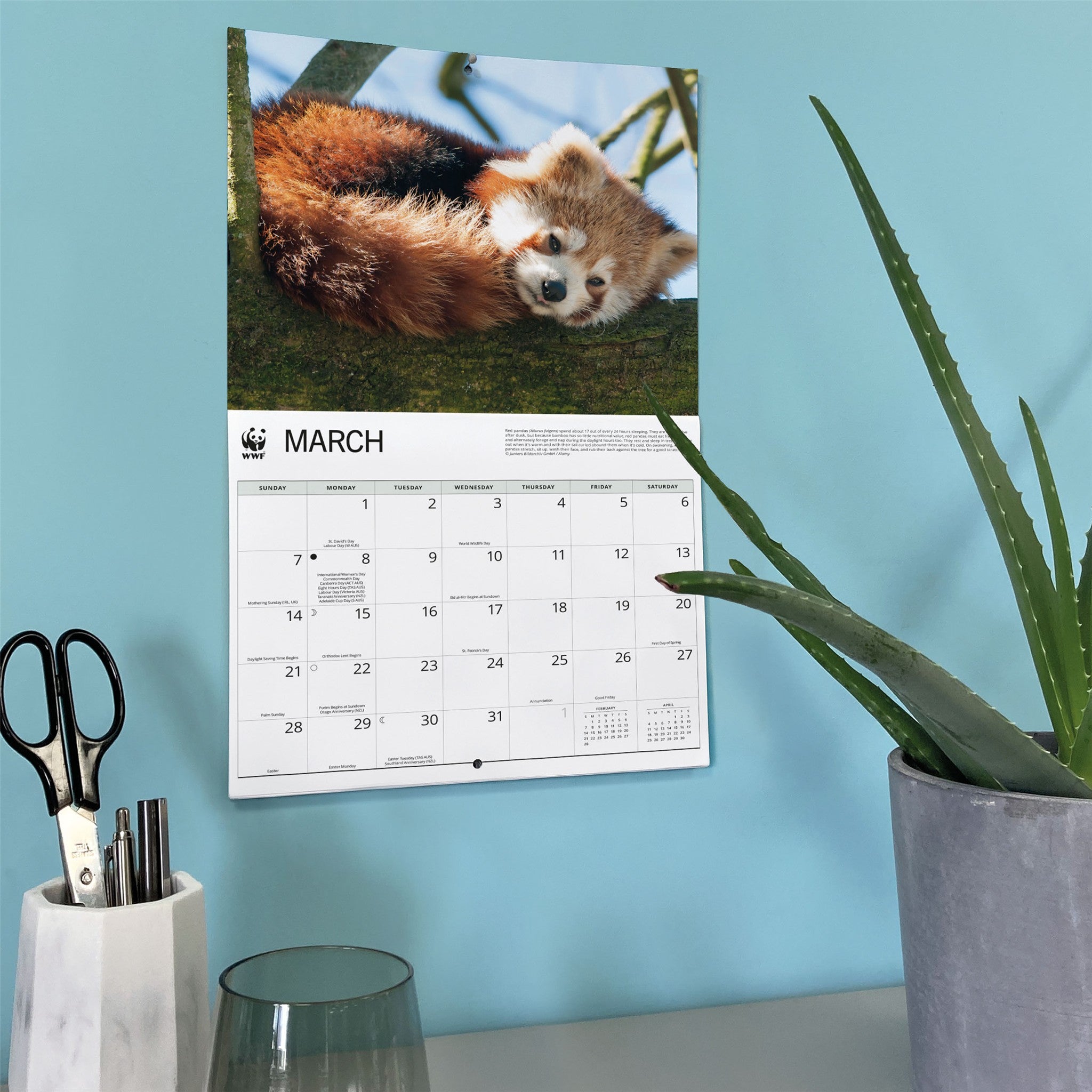 Calendrier mural 2027 Pandas roux du Fonds mondial pour la nature