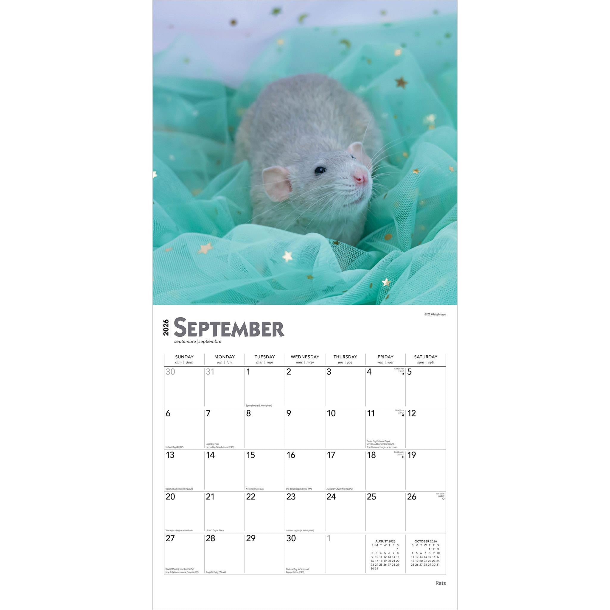 Rats 2026 Wall Calendar