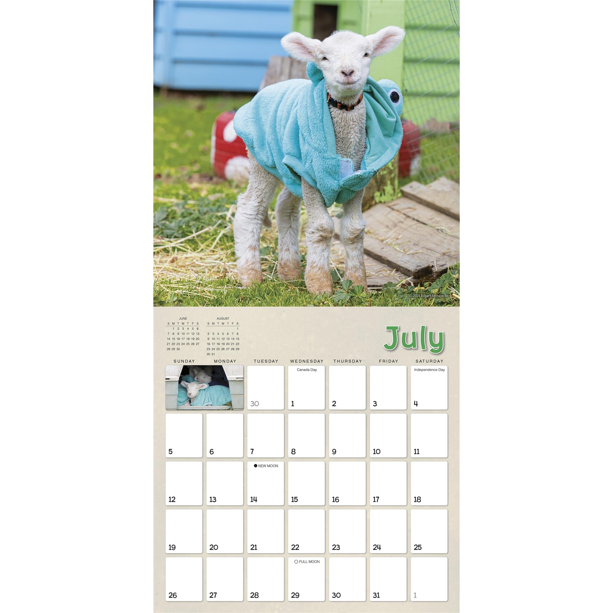 Lambies In Jammies And Goats In Coats 2026 Wall Calendar