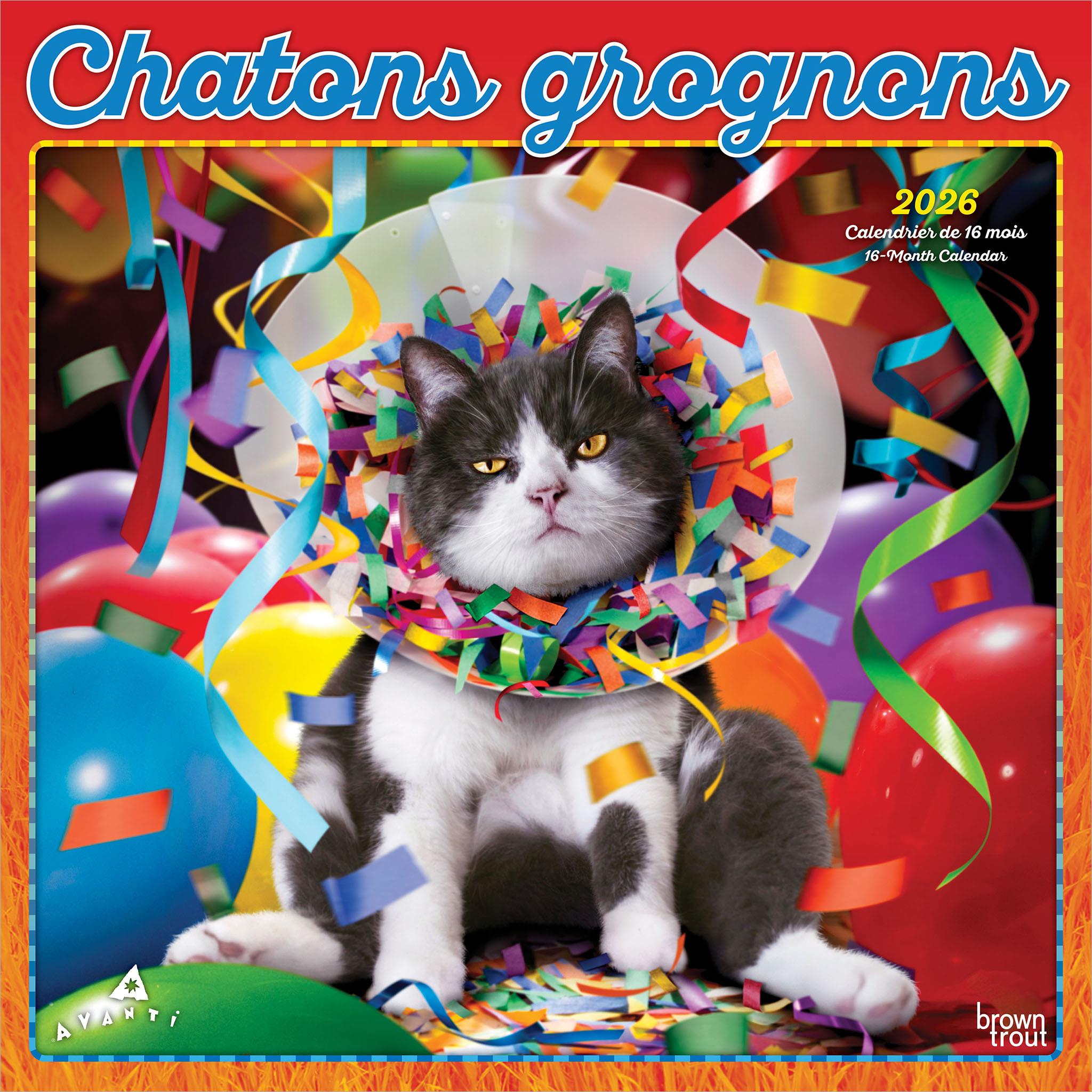 Calendrier mural Chatons Grognons 2026 (français)