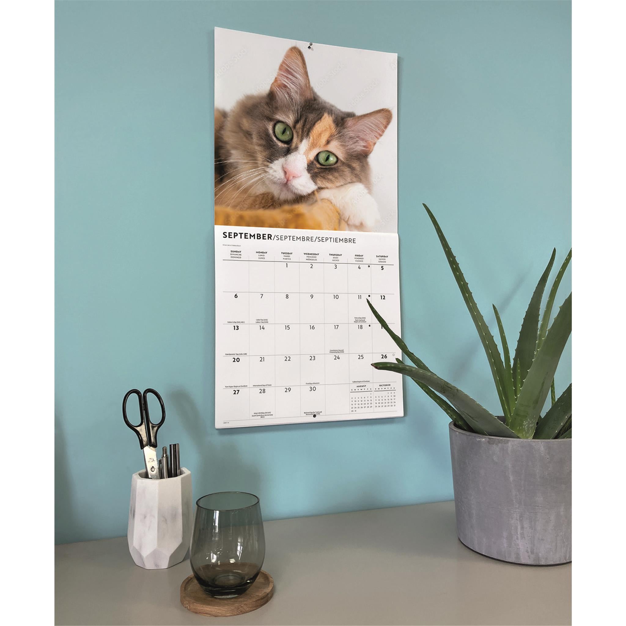 Calendrier mural Amour des chats 2026