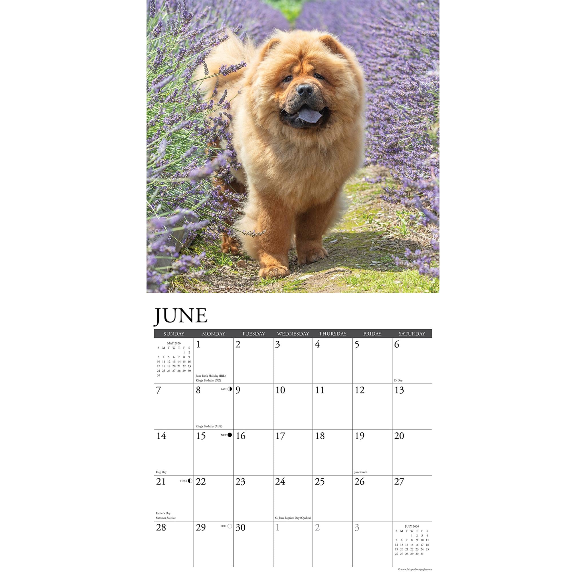 Calendrier mural Just Chow Chows 2026