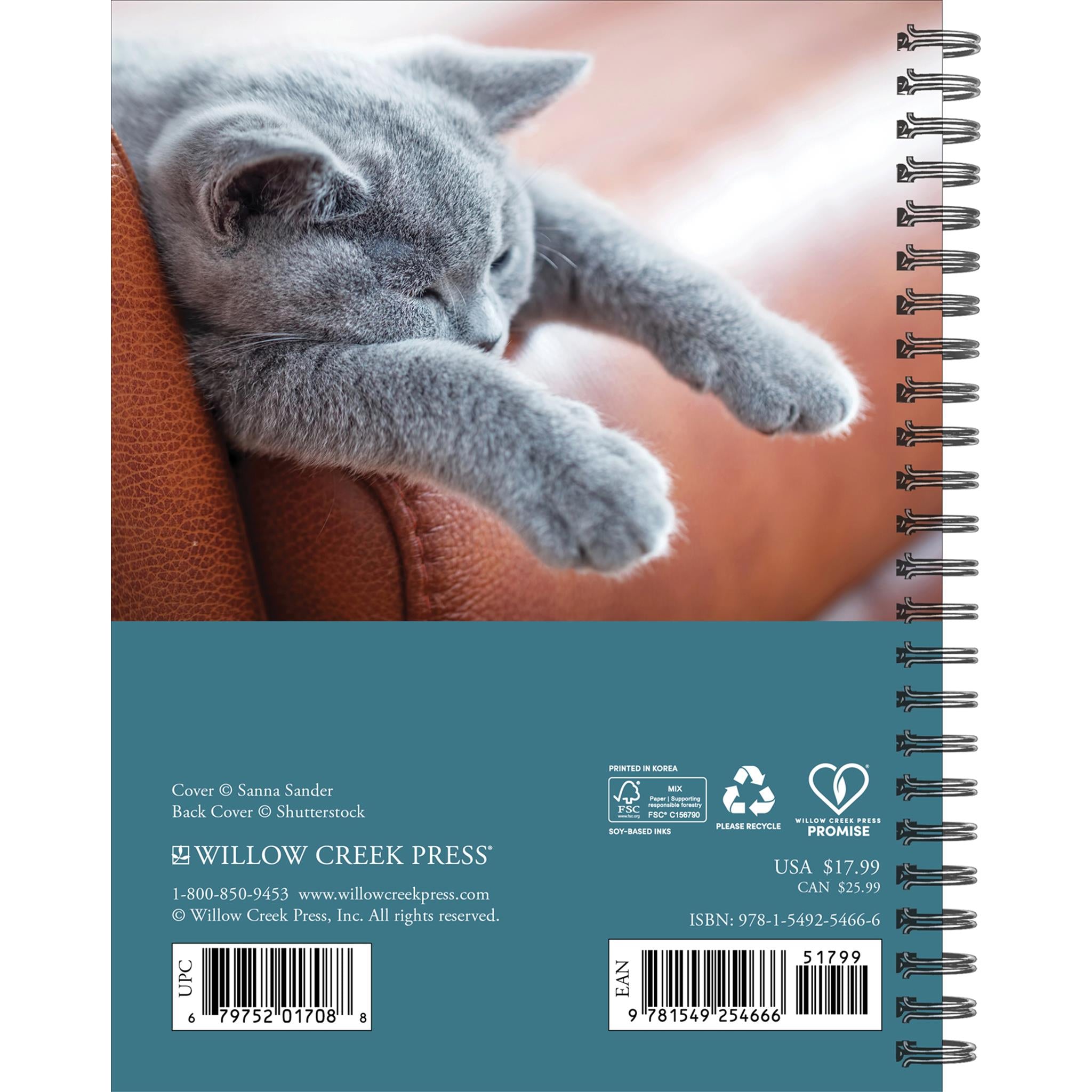 Calendrier des fiançailles 2026 de What Cats Teach Us
