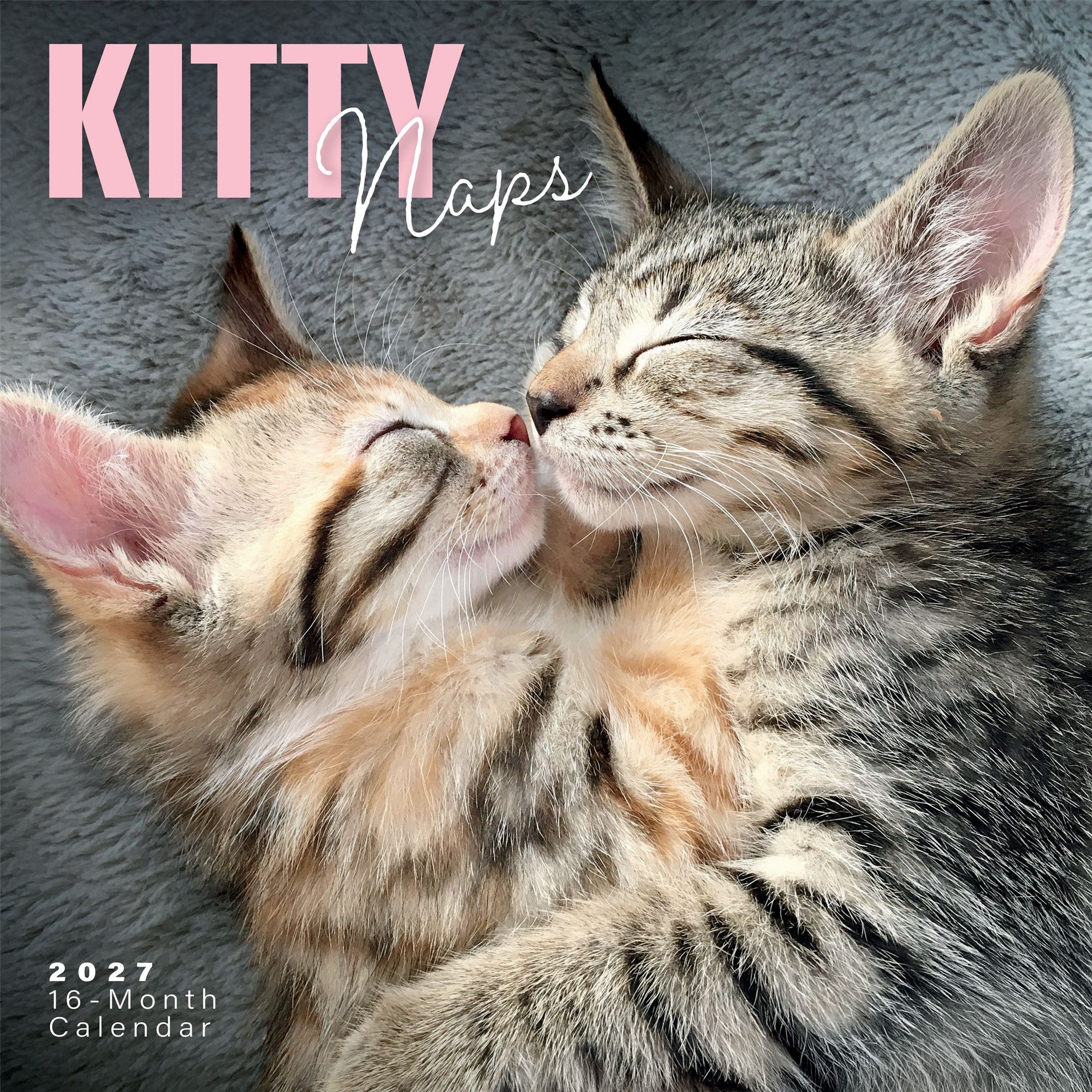 Calendrier mural 2027 : Siestes de chatons
