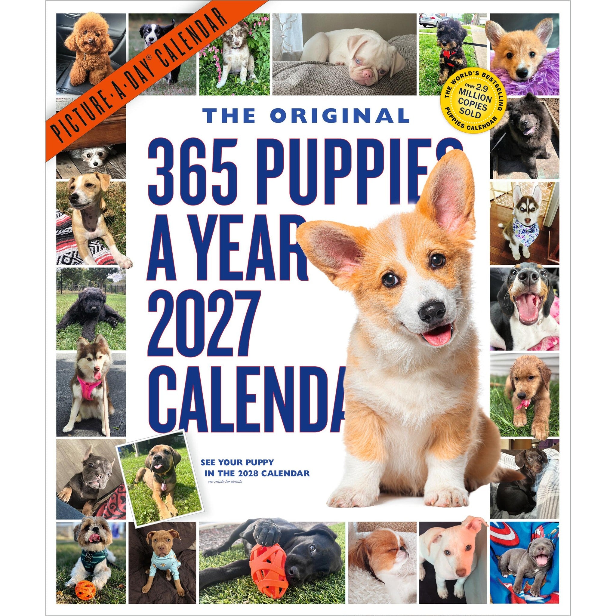 Calendrier mural 365 chiots par an 2027