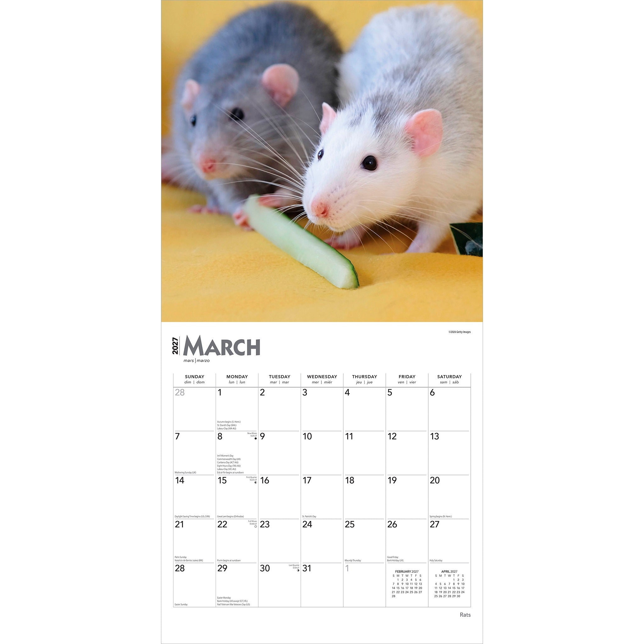 Rats 2027 Wall Calendar