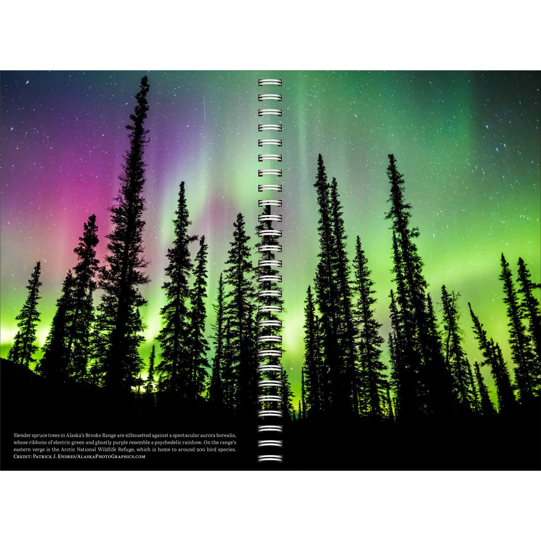 Audubon 2027 Engagement Calendar