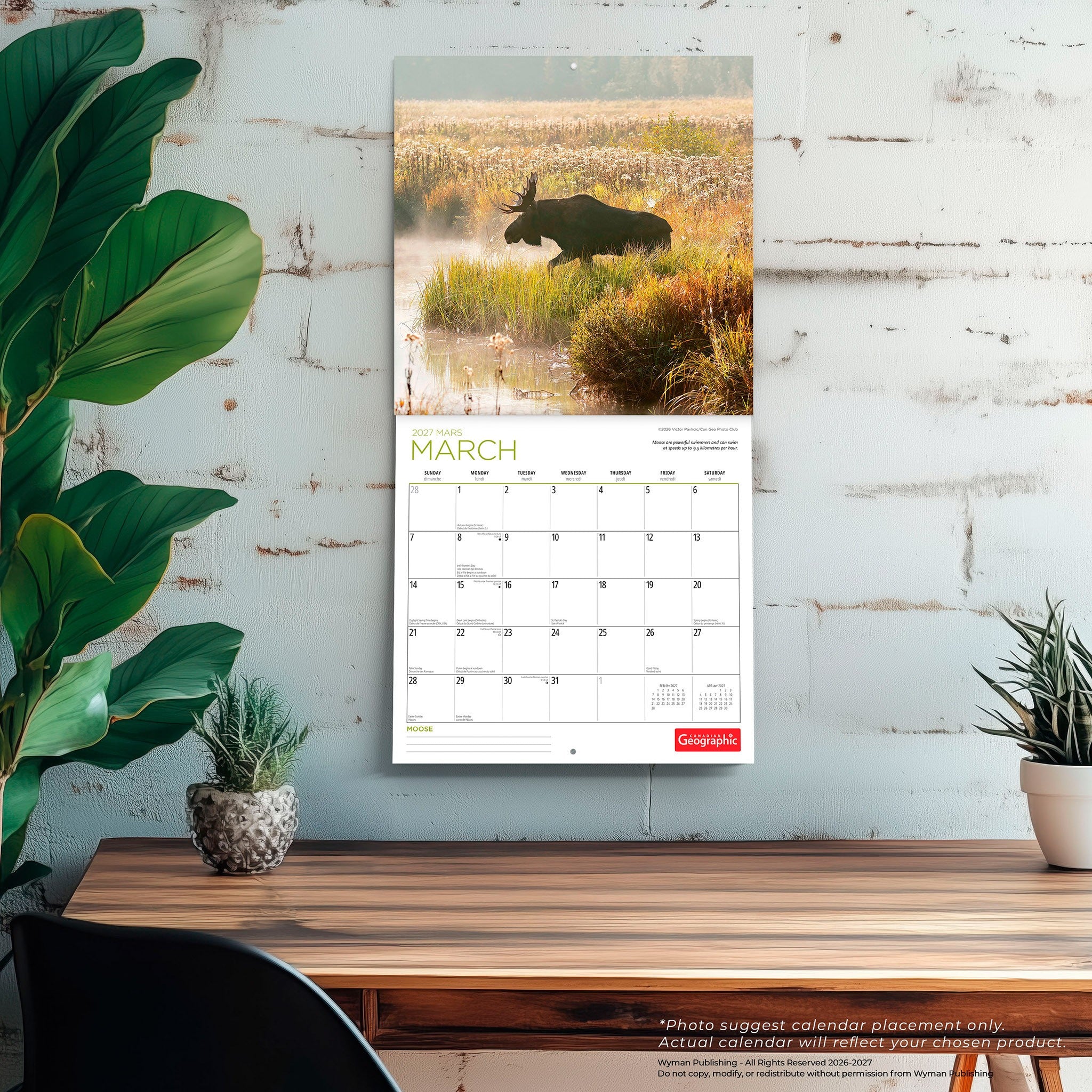 Canadian Geographic Moose 2027 Wall Calendar