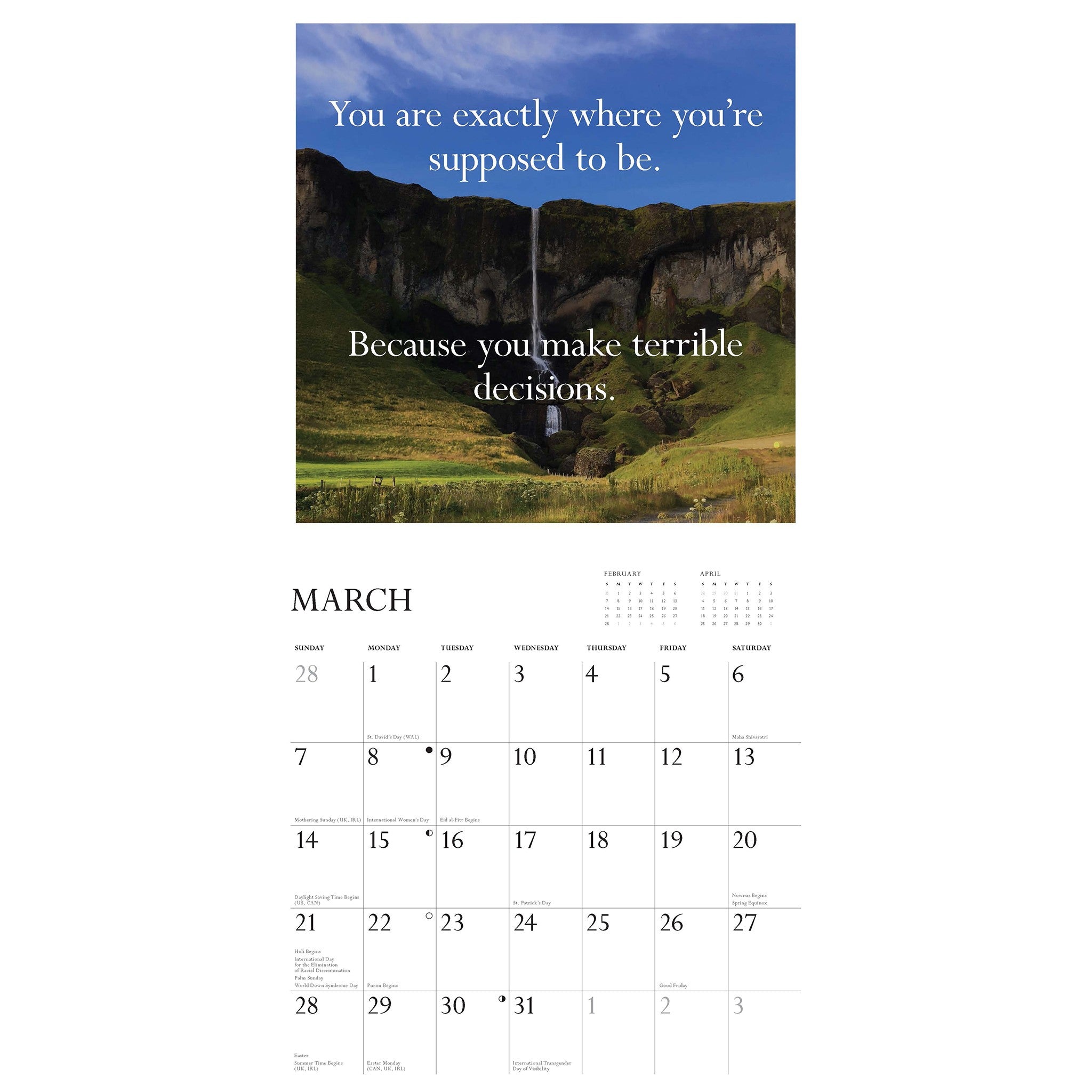 Disappointing Affirmations 2027 Wall Calendar