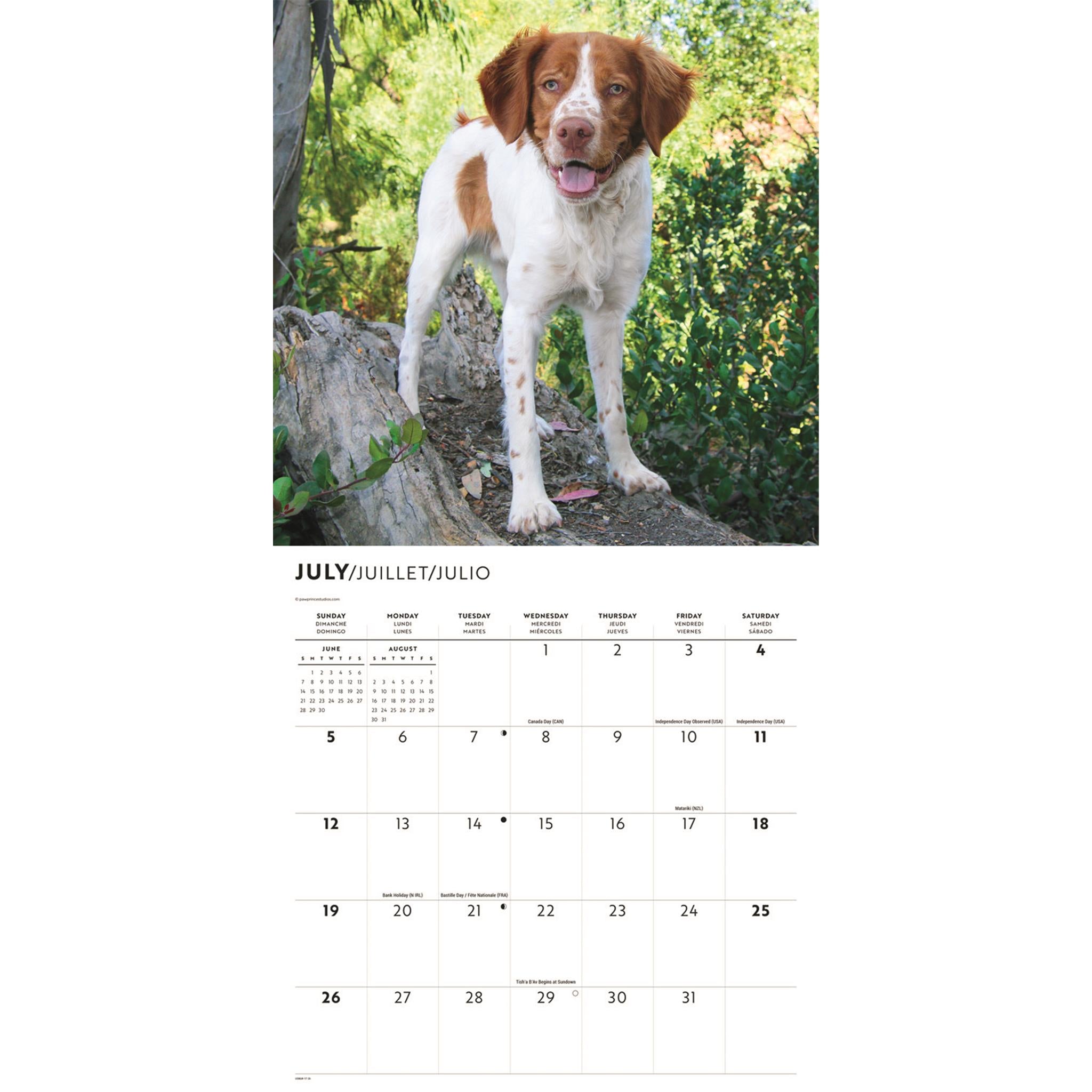 Brittanys 2026 Wall Calendar