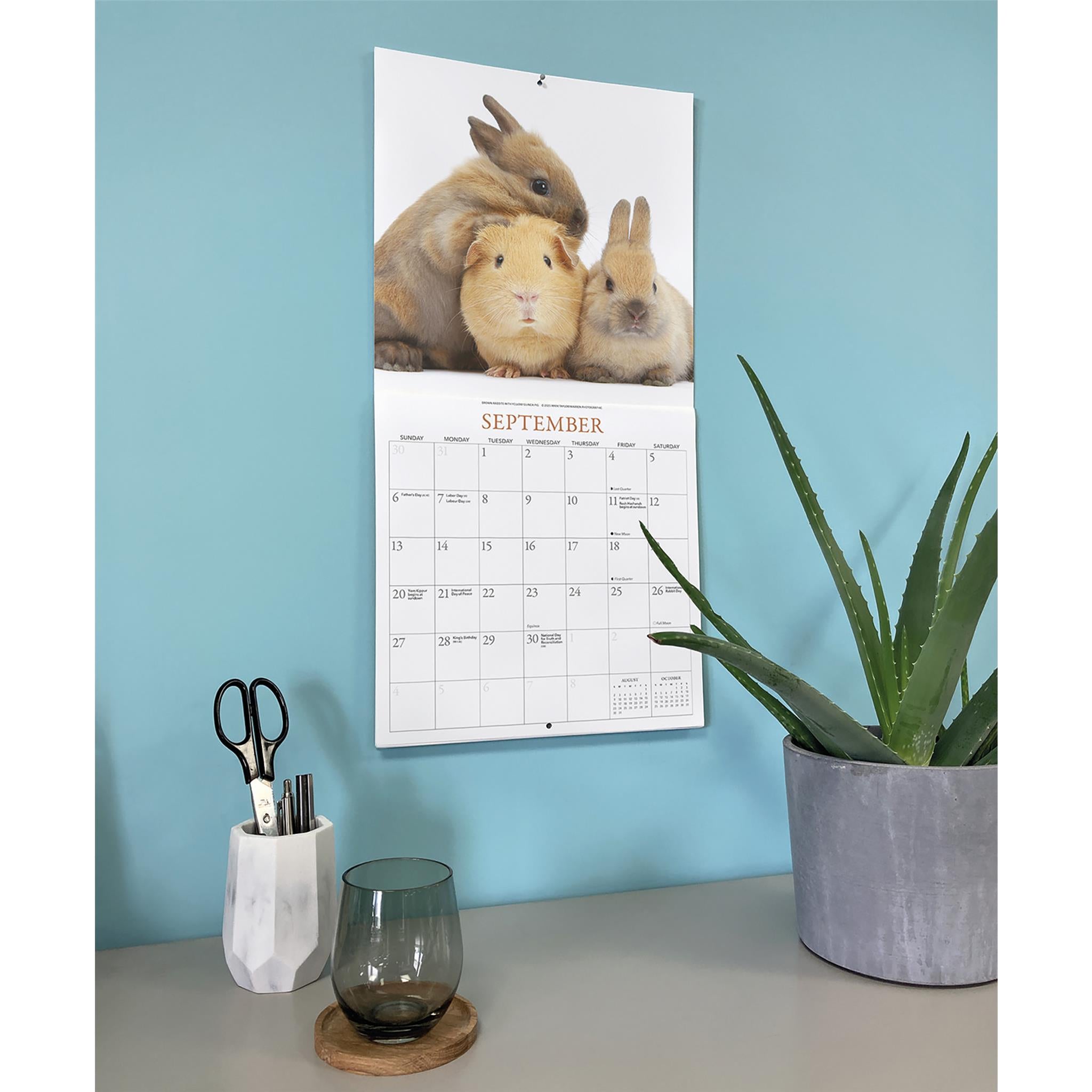 Calendrier mural Lapins et Amis 2026