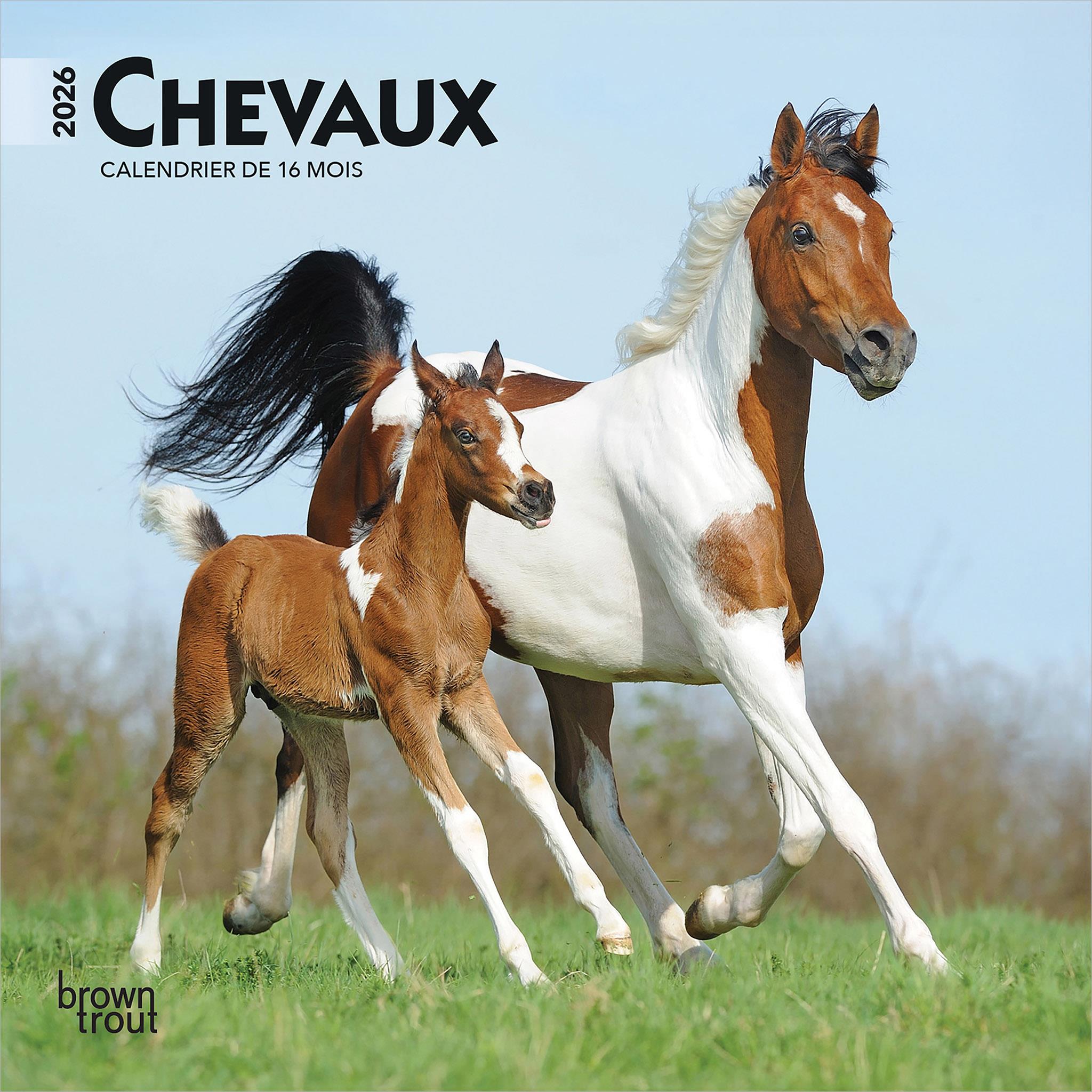 Mini calendrier Chevaux 2026 (français)