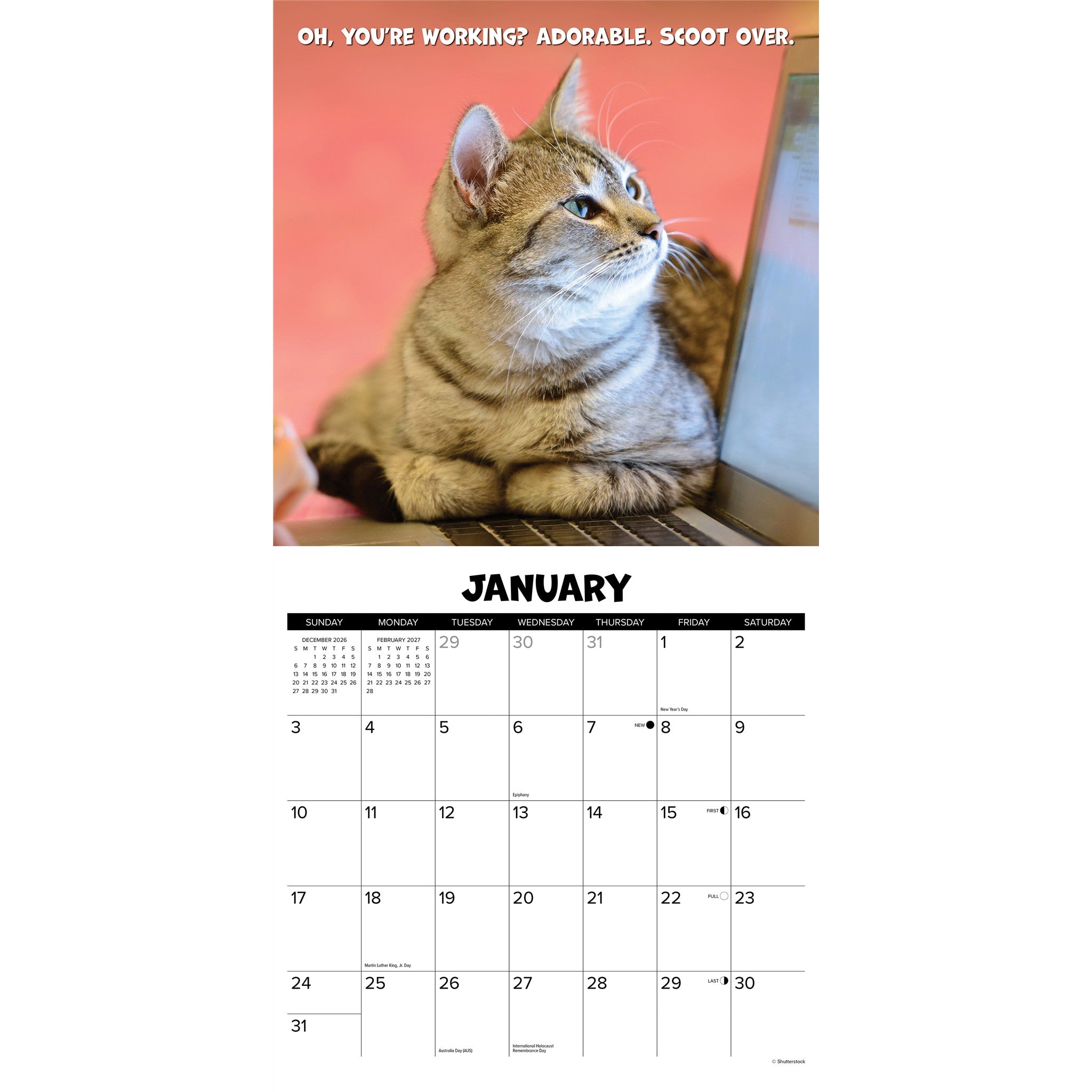 Cat Chat 2027 Wall Calendar - Online Only