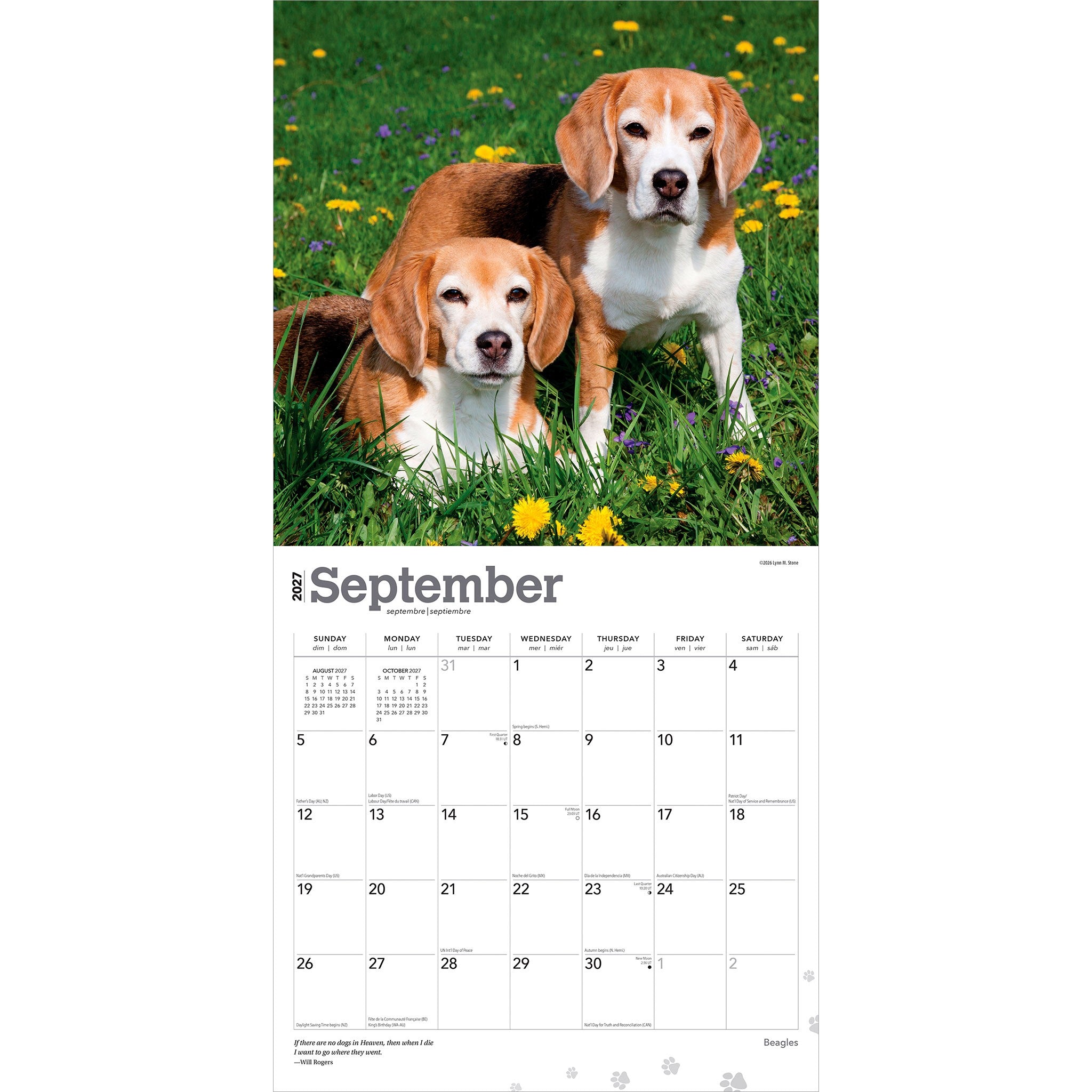 Beagles 2027 Wall Calendar
