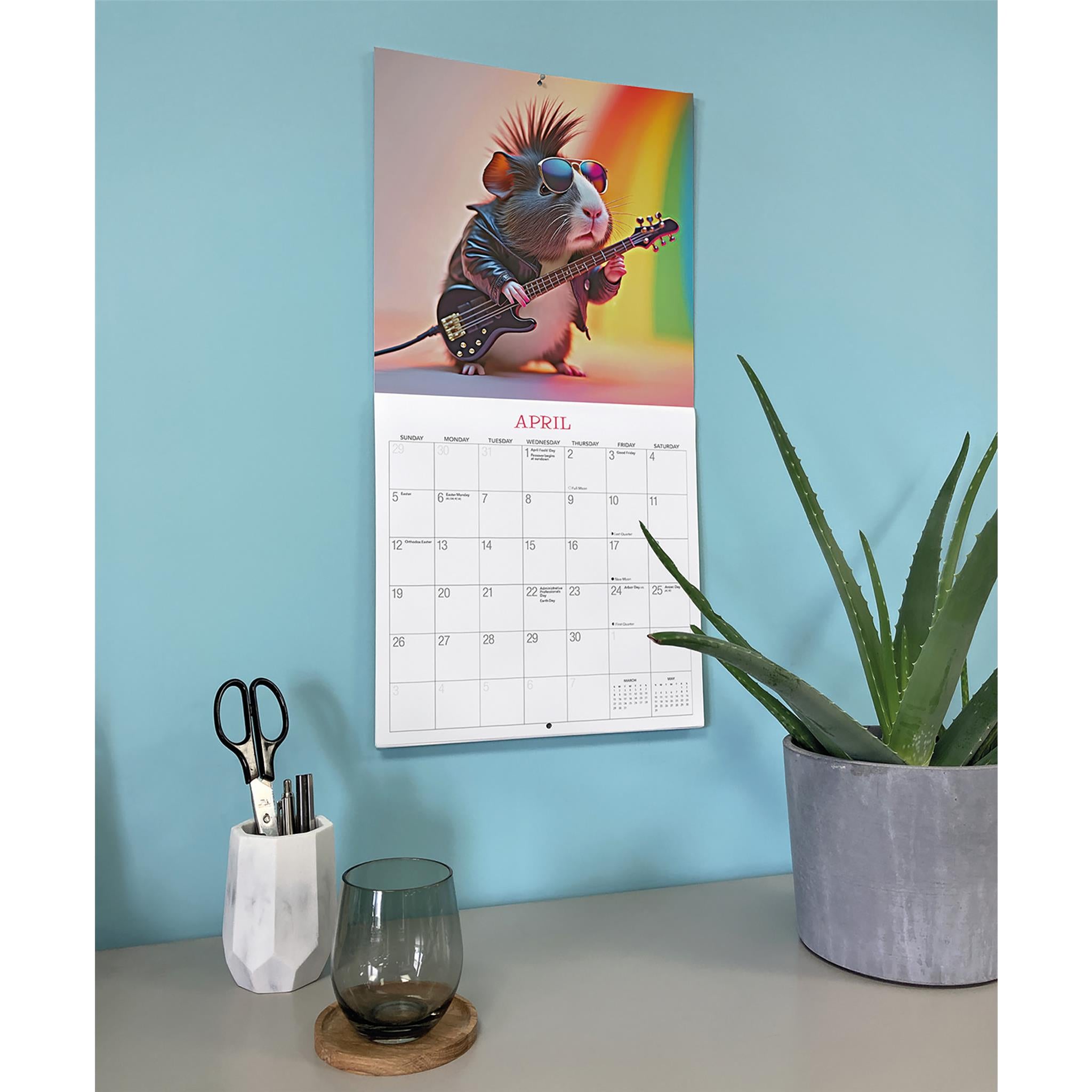 Les cochons d'Inde règnent ! Calendrier mural 2026