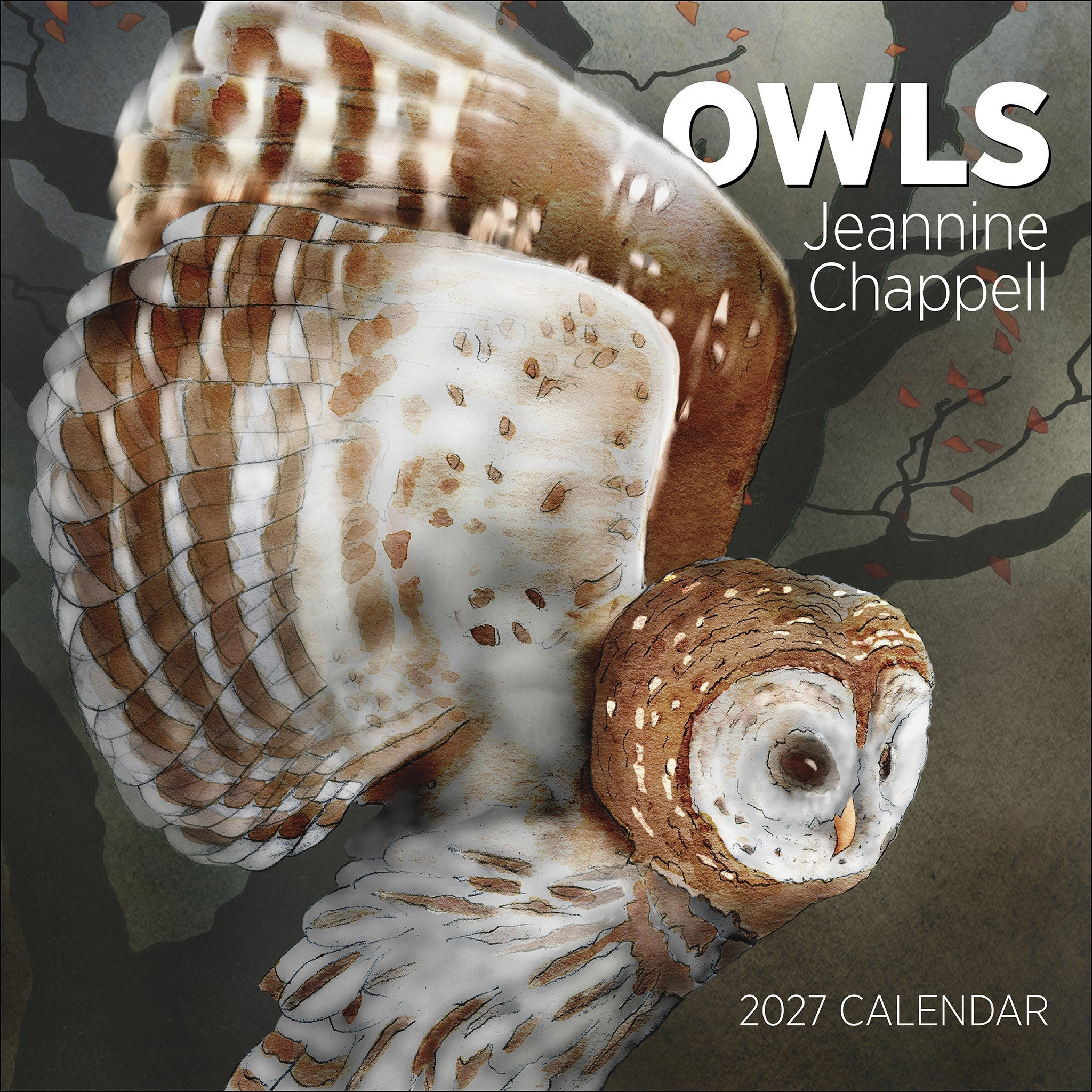 Owls Jeannine Chappell 2027 Wall Calendar