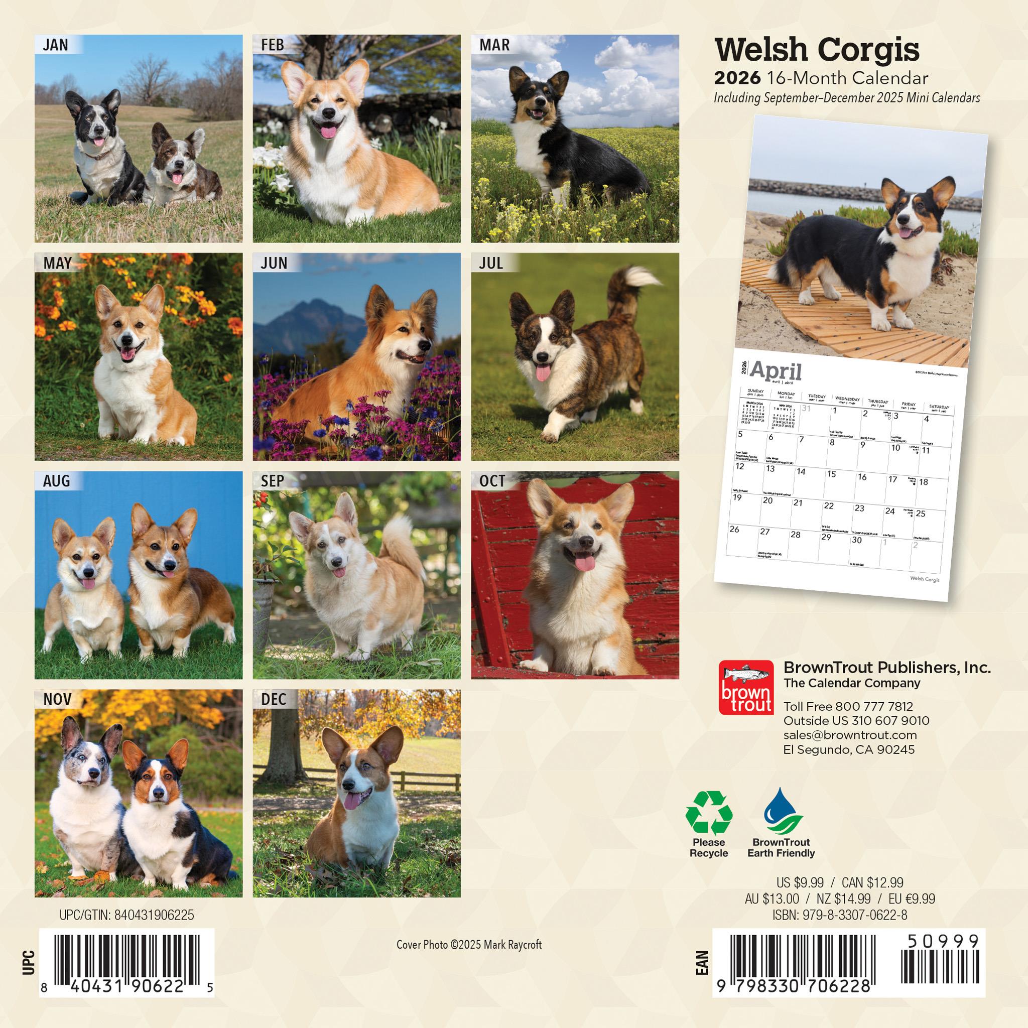 Mini-calendrier Welsh Corgis 2026