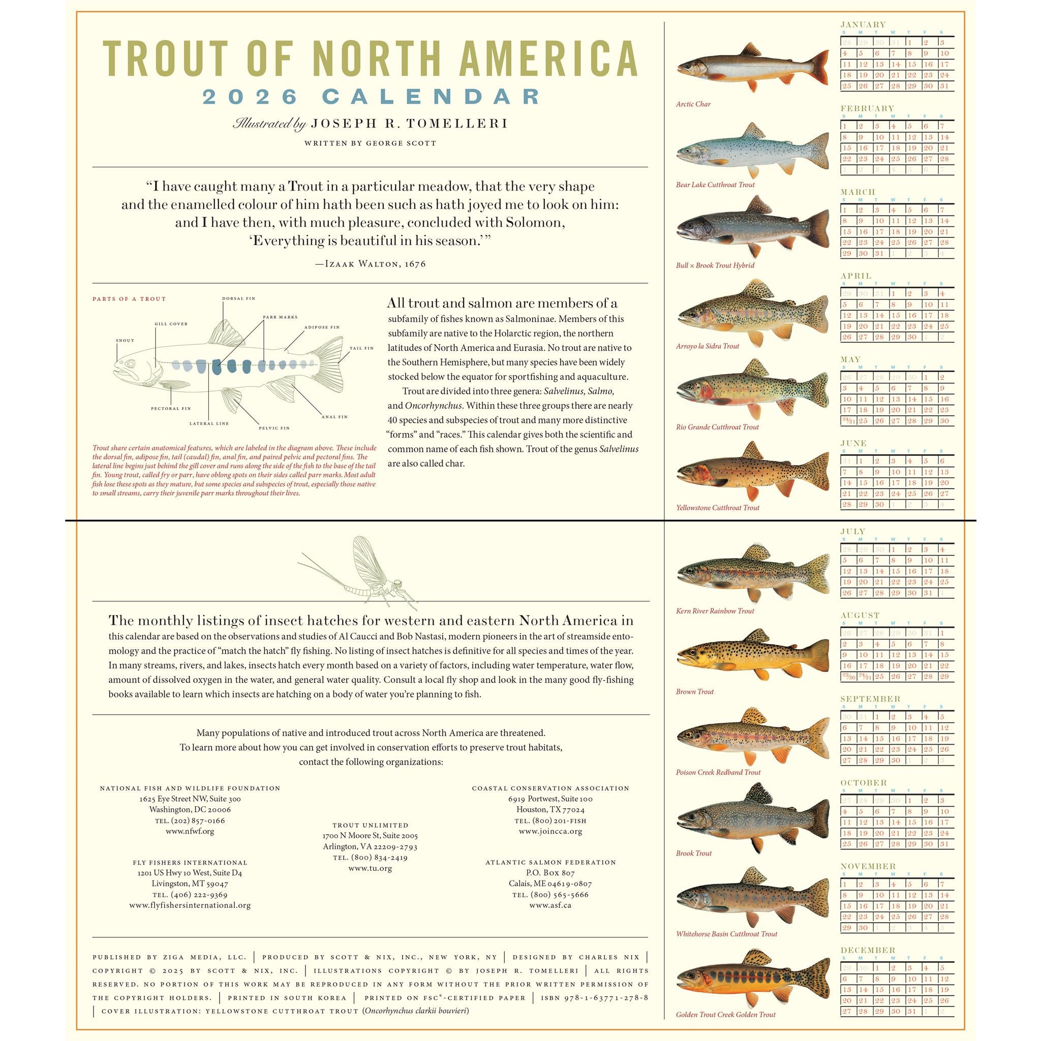 Calendrier mural Truite d'Amérique du Nord 2026