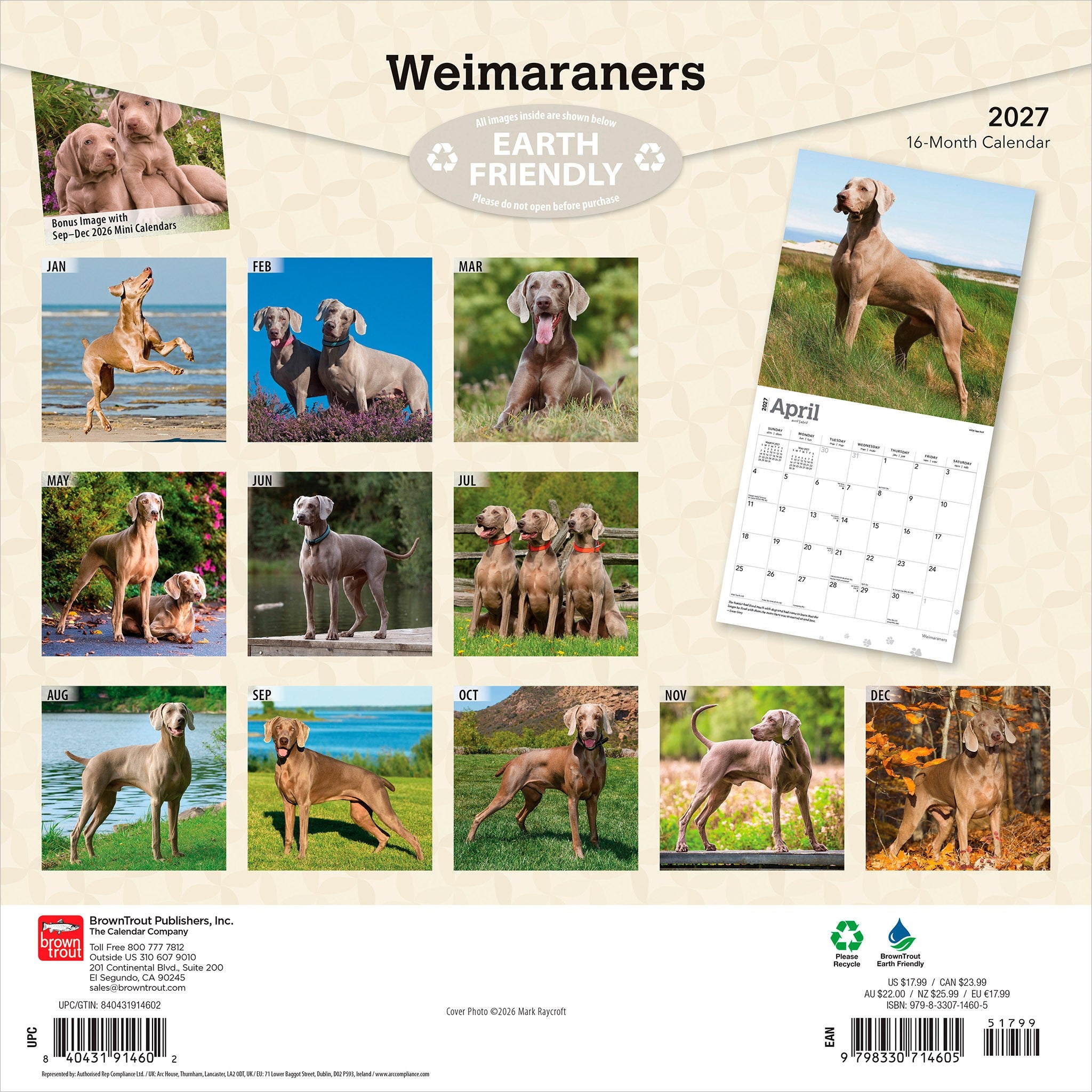 Weimaraners 2027 Wall Calendar