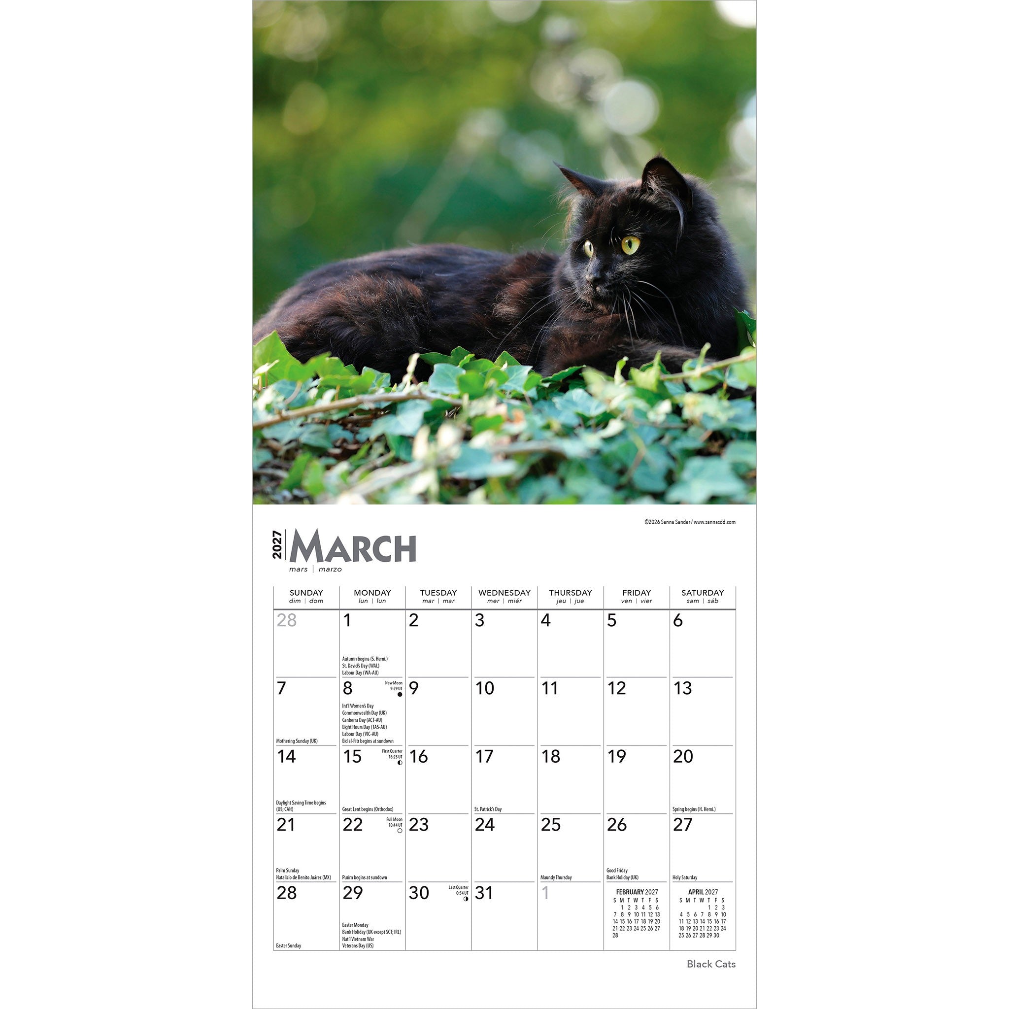 Black Cats 2027 Mini Calendar