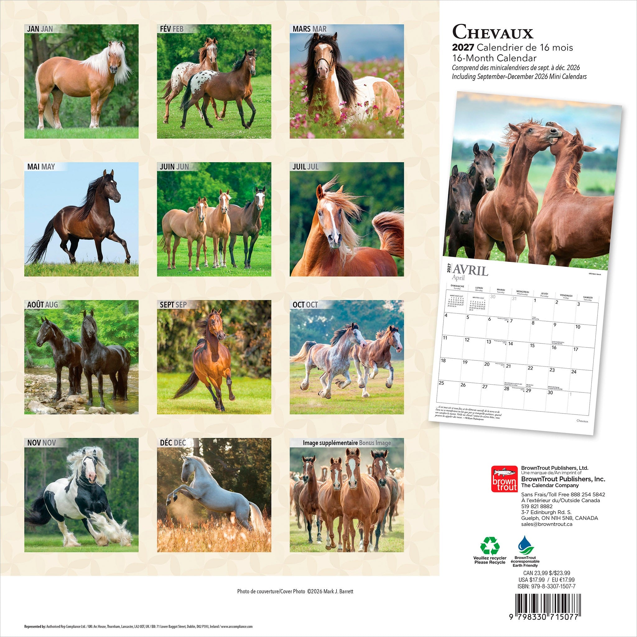 Chevaux 2027 Wall Calendar (French)