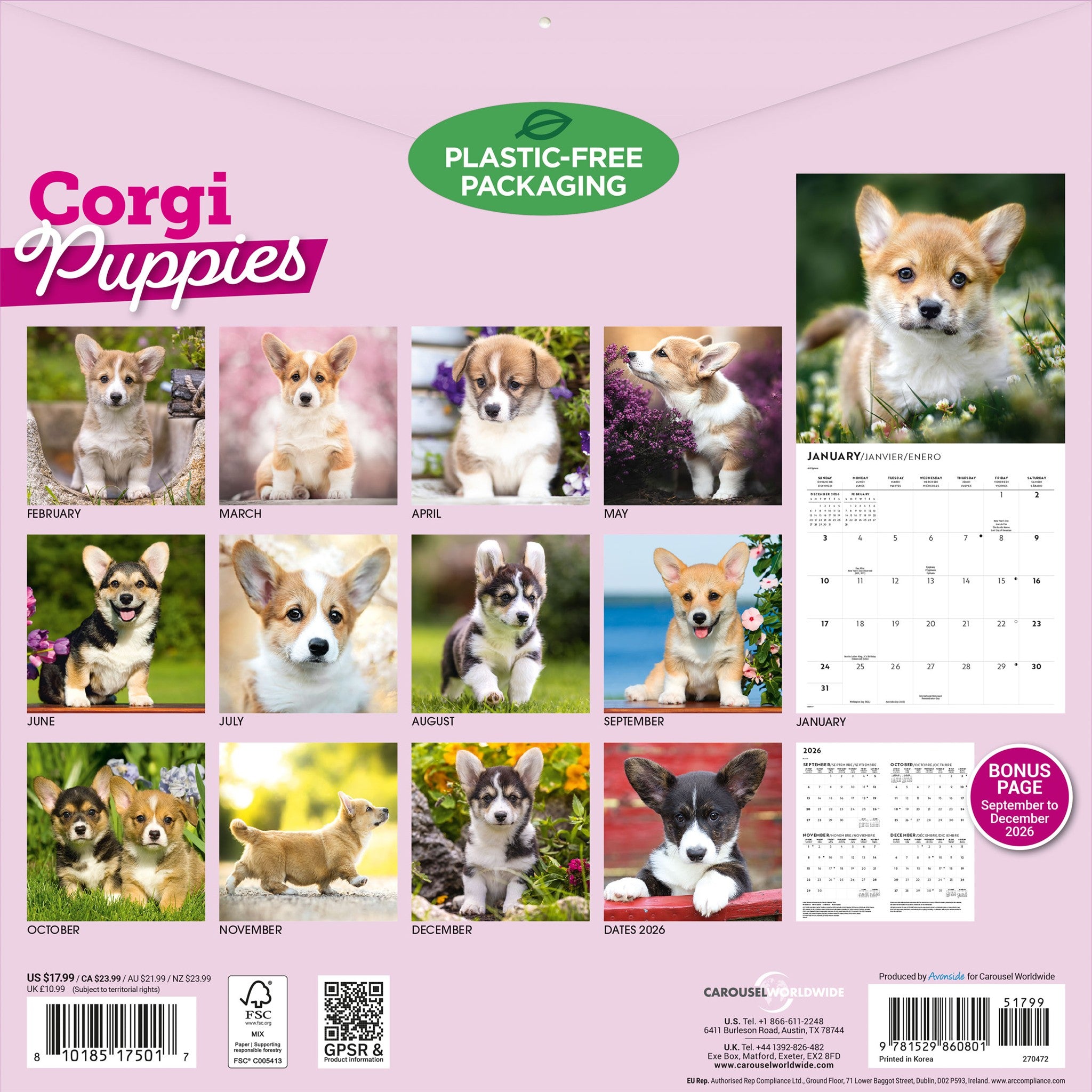 Calendrier mural chiots Corgi 2027