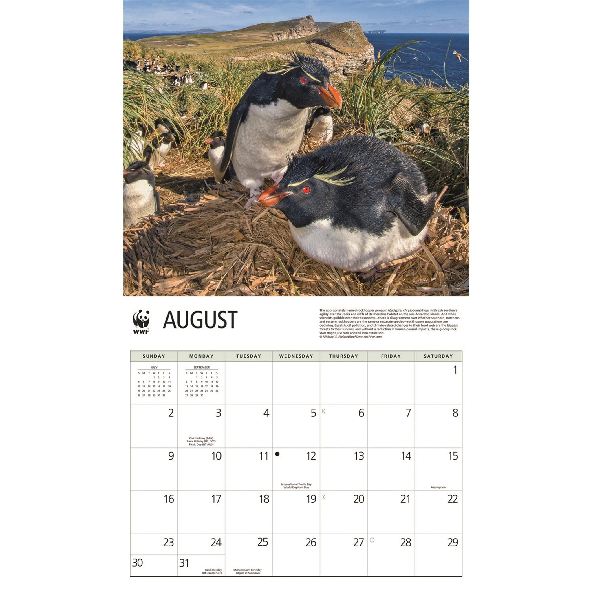 Calendrier mural 2026 des pingouins du Fonds mondial pour la nature