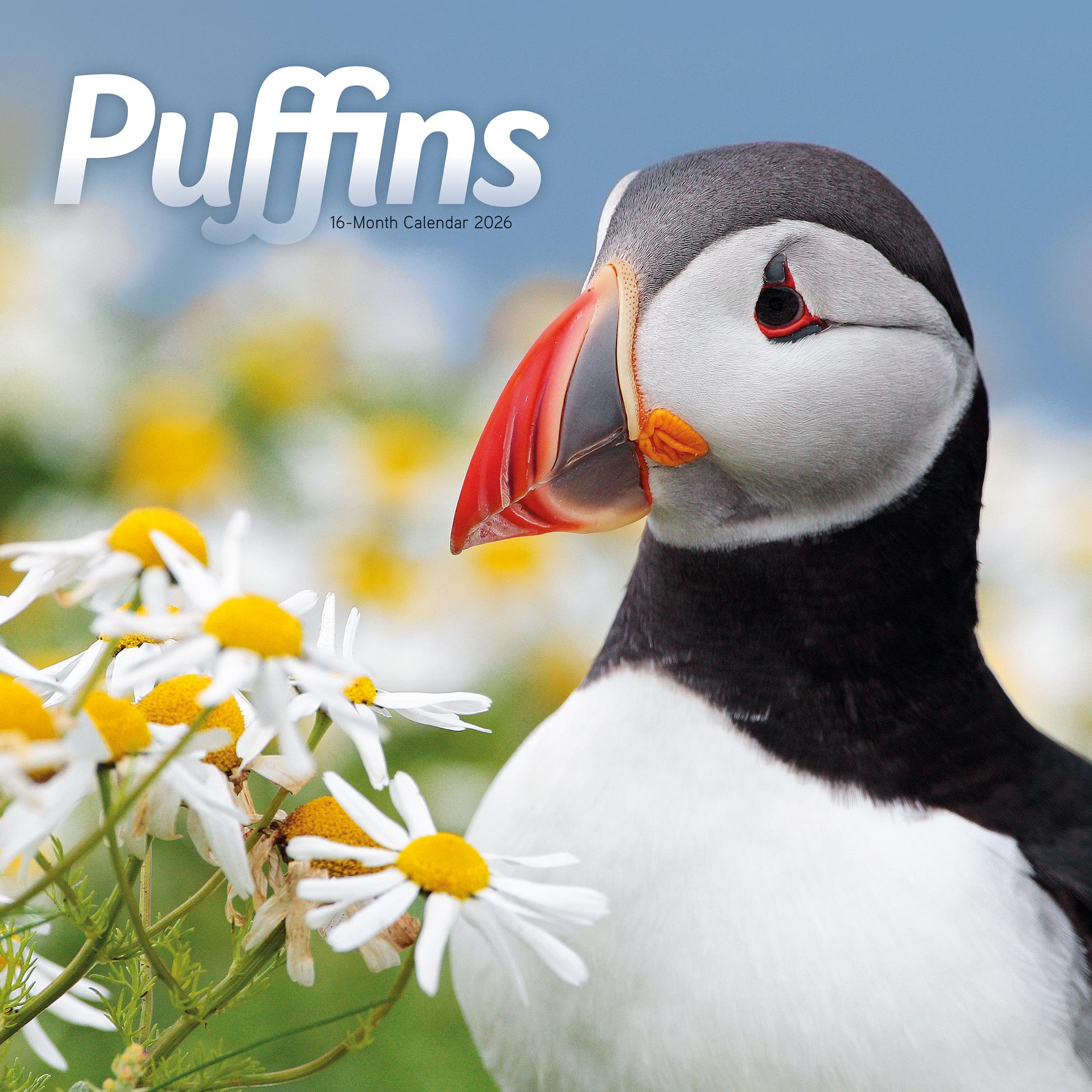 Calendrier mural Puffins 2026