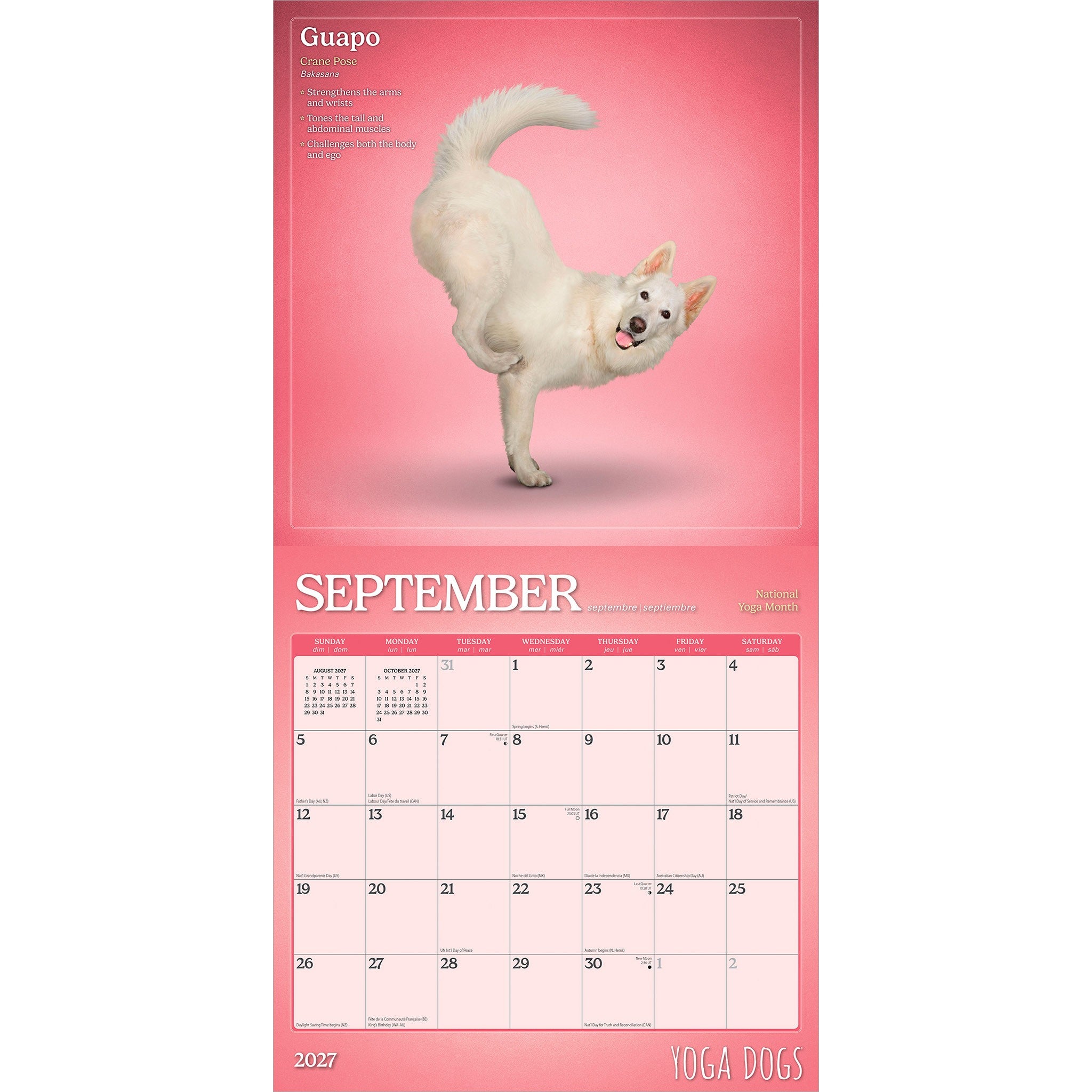 Yoga Dogs 2027 Wall Calendar