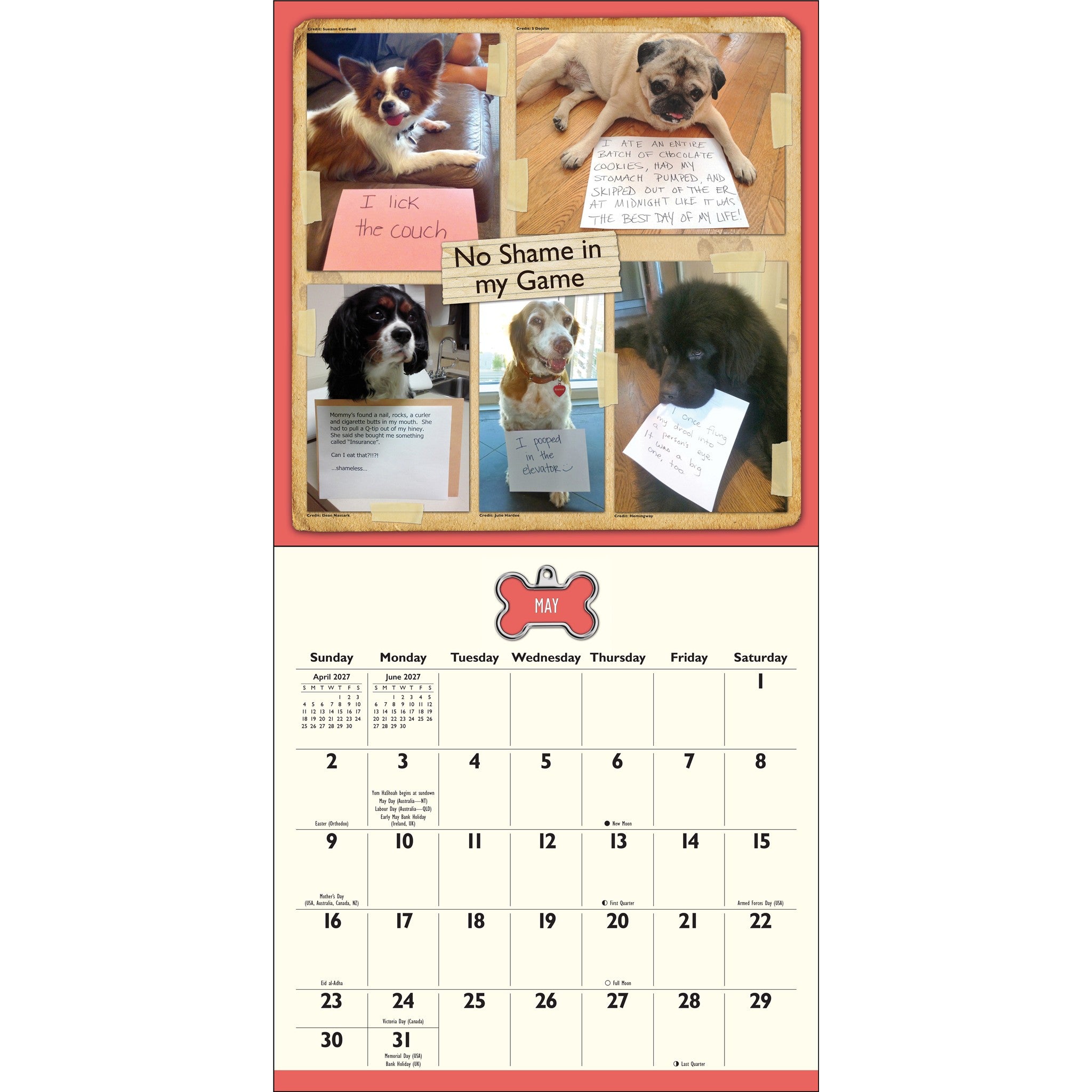 Calendrier mural 2027 : La honte des chiens