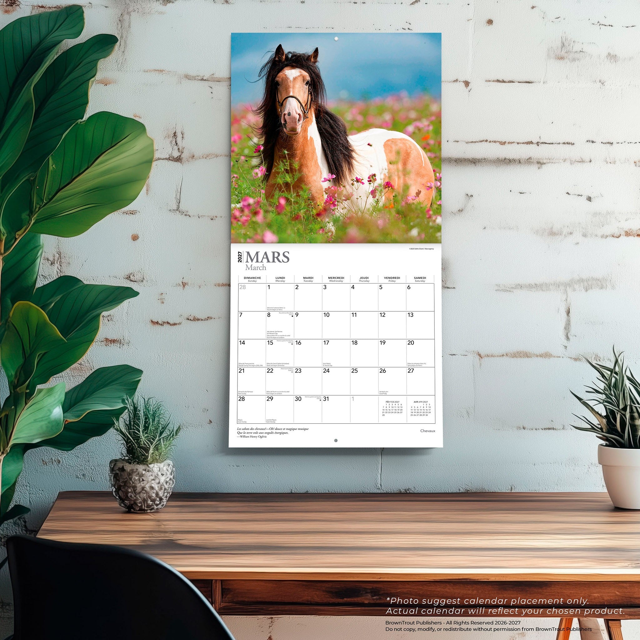 Chevaux 2027 Wall Calendar (French)