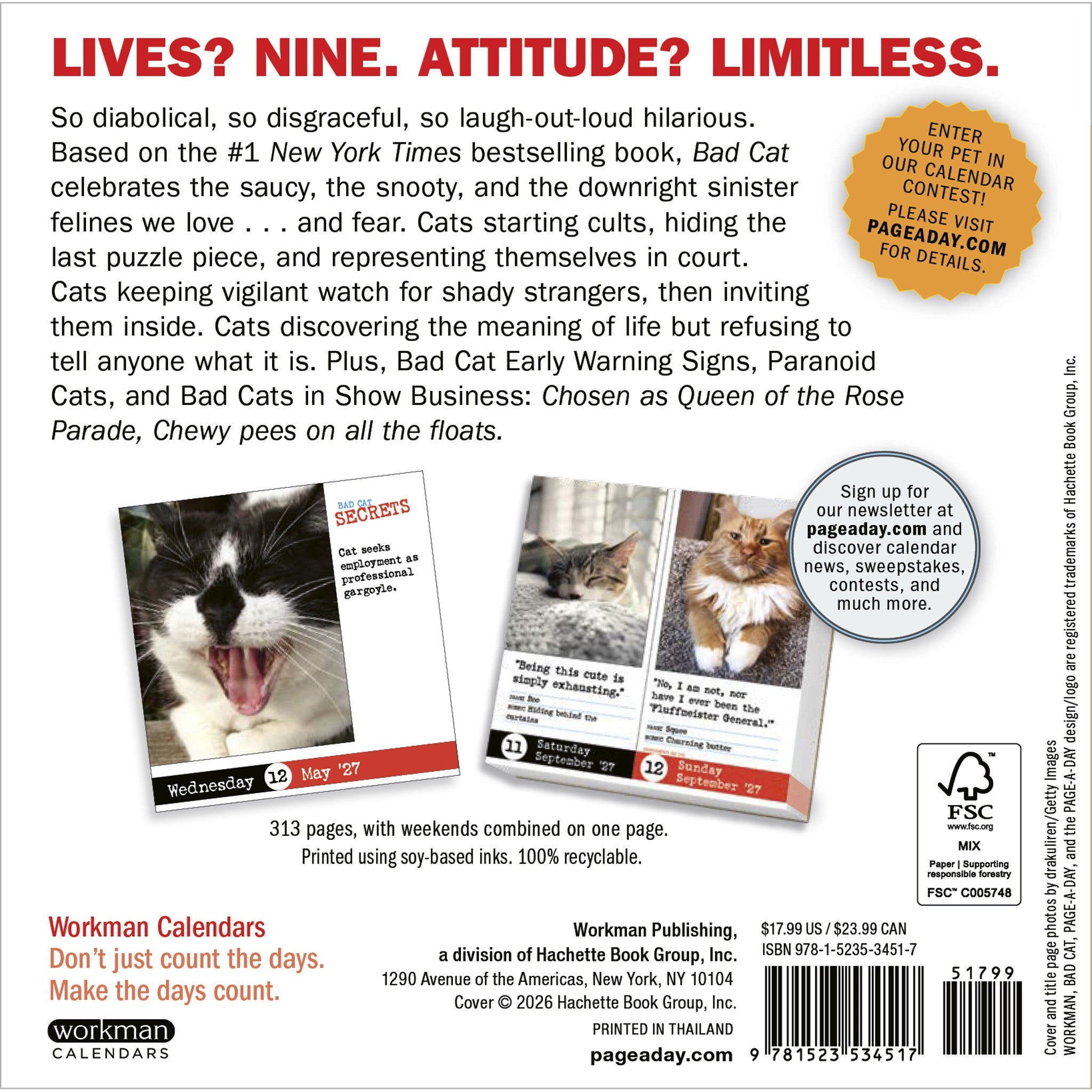 Bad Cat 2027 Box Calendar