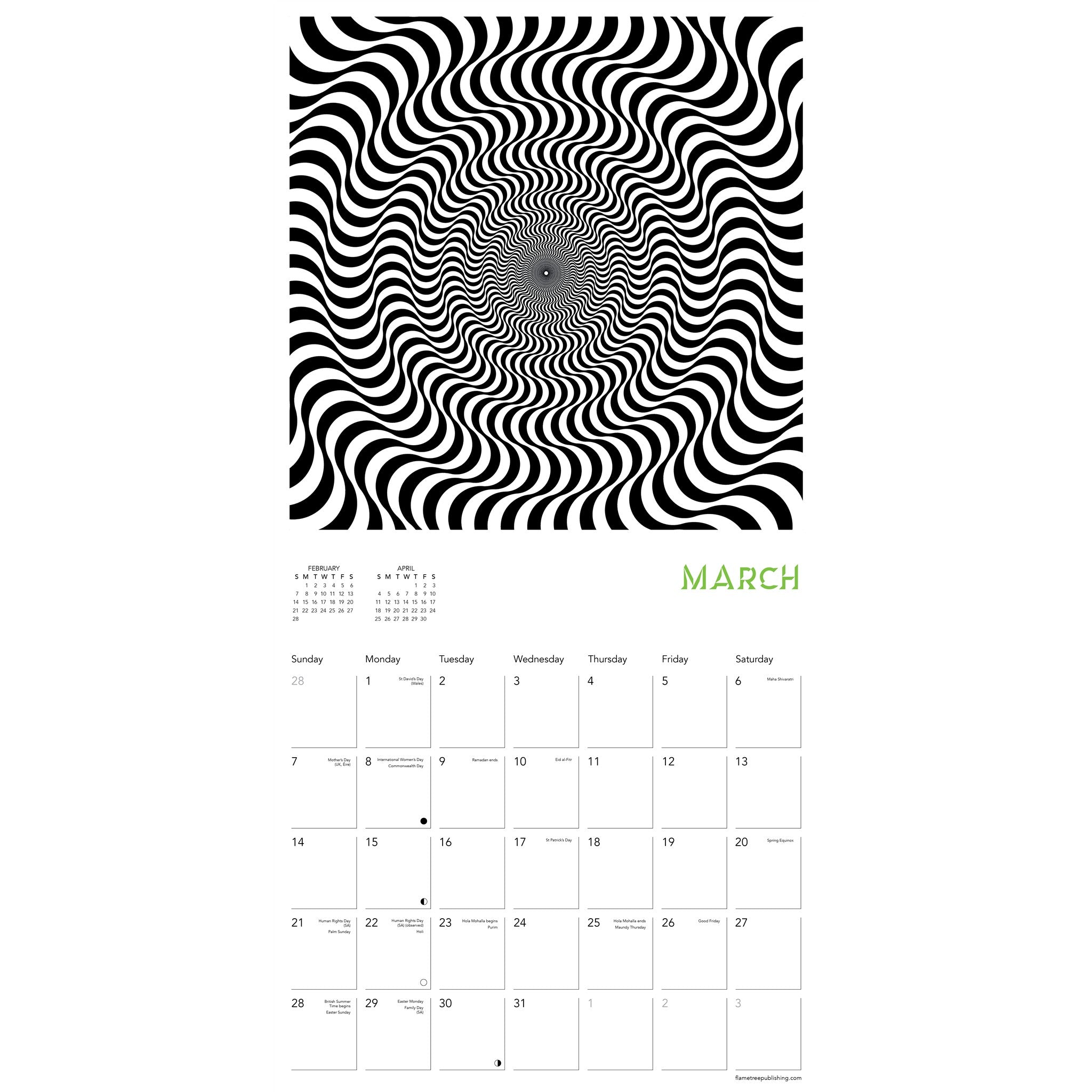 Optical Illusions 2027 Wall Calendar