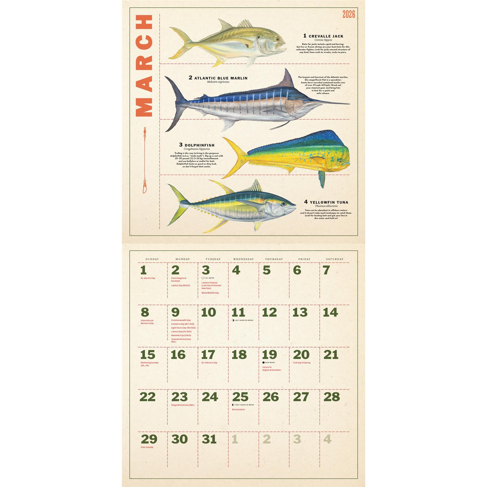 Calendrier mural des douze mois de pêche 2026
