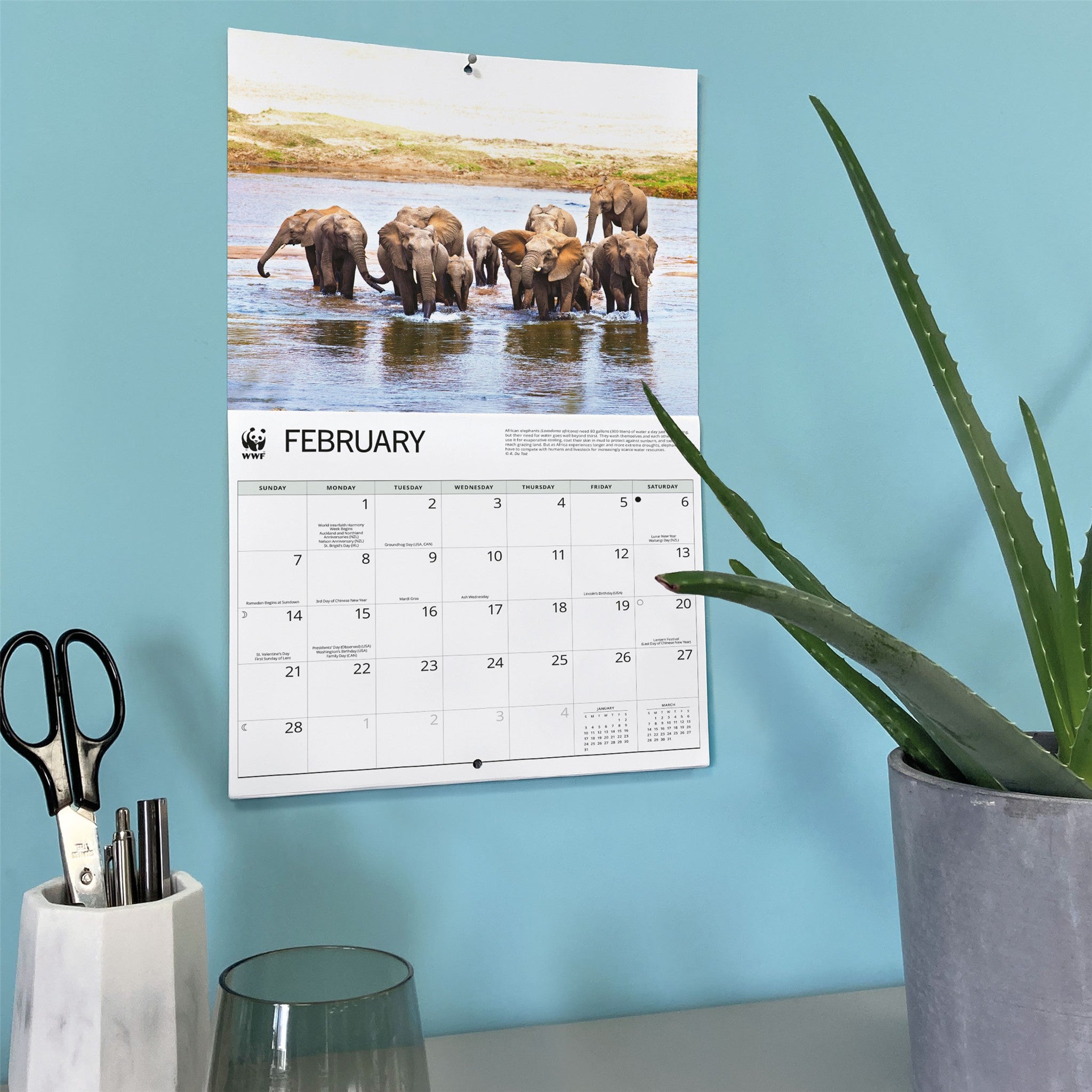 Calendrier mural 2027 Éléphants du Fonds Mondial pour la Nature