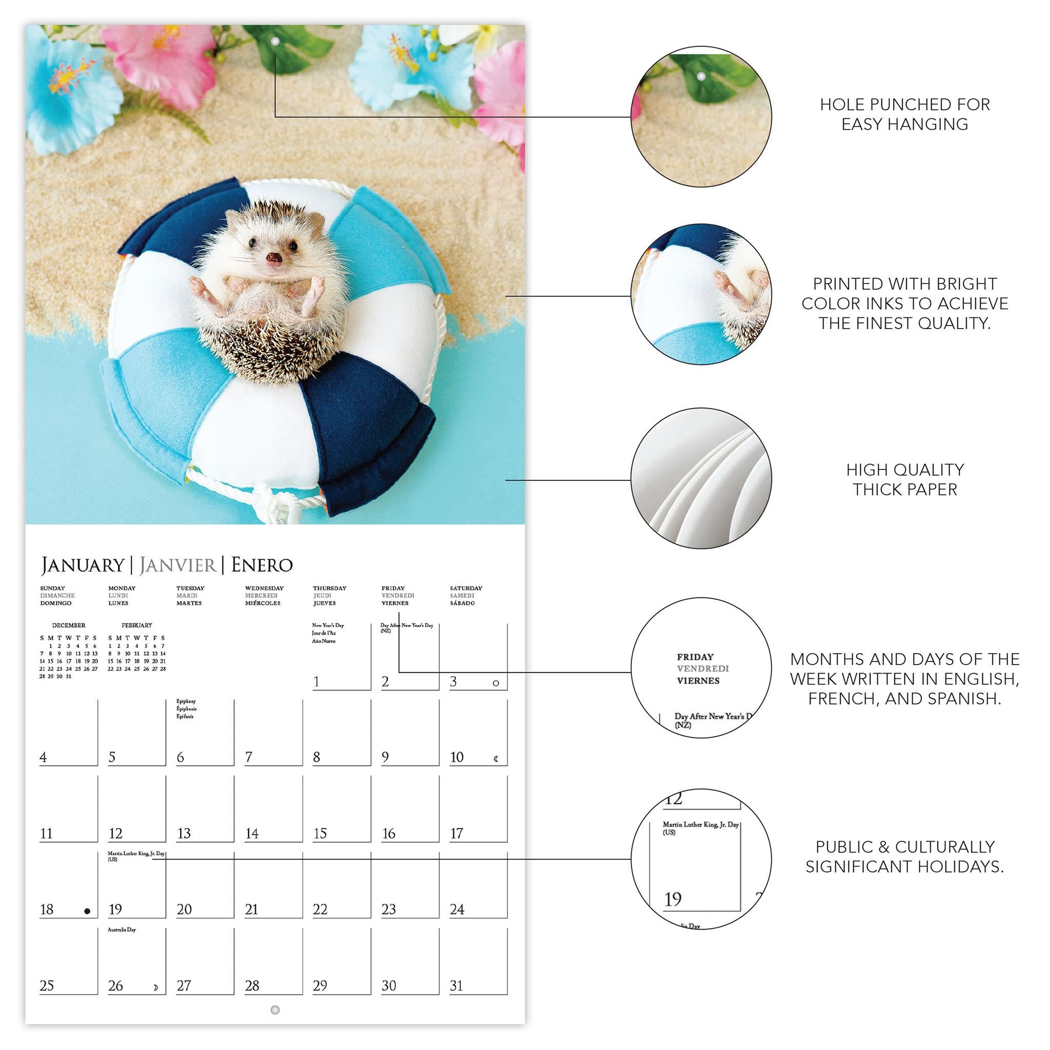 Happiest Hedgehogs 2026 Mini Calendar