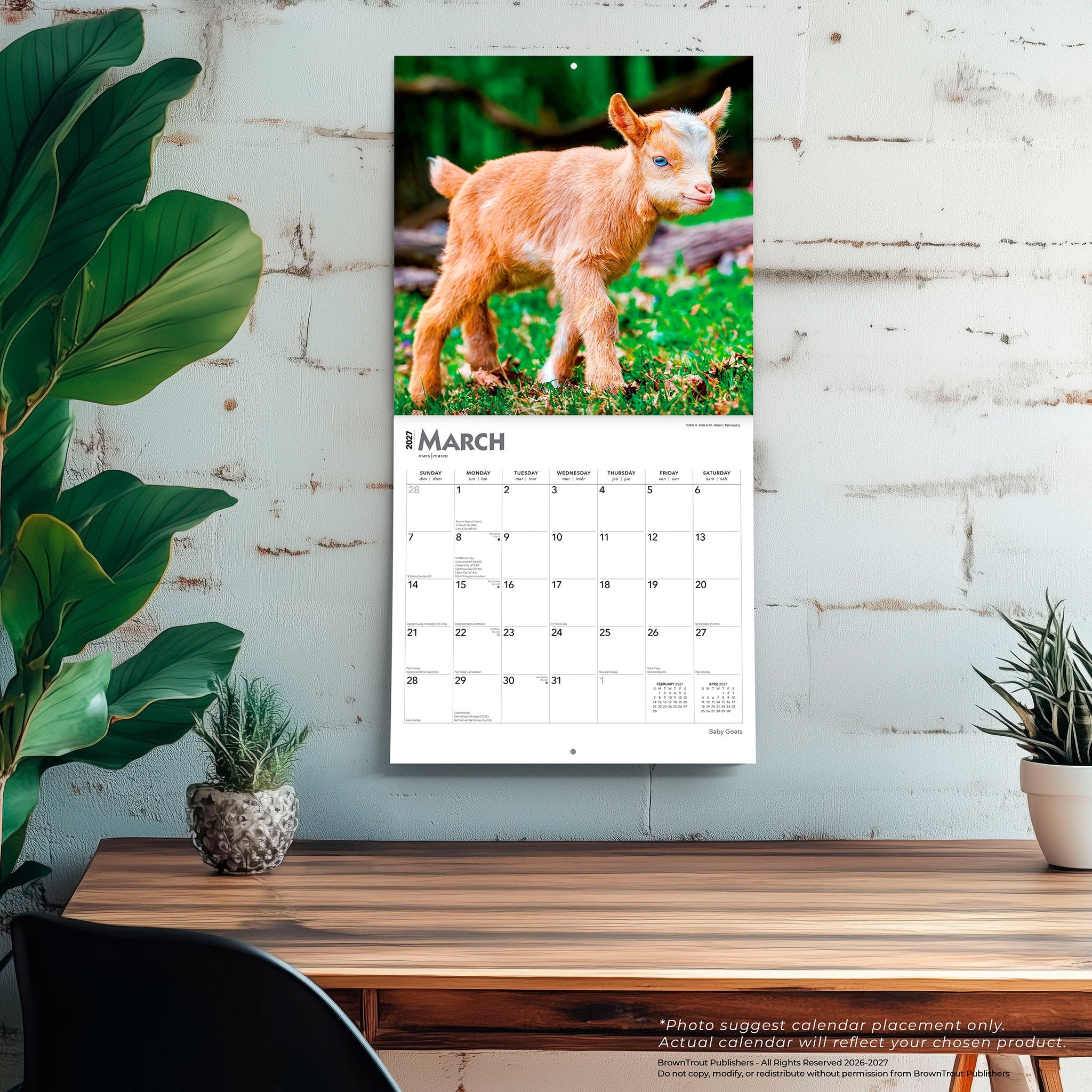 Baby Goats 2027 Wall Calendar