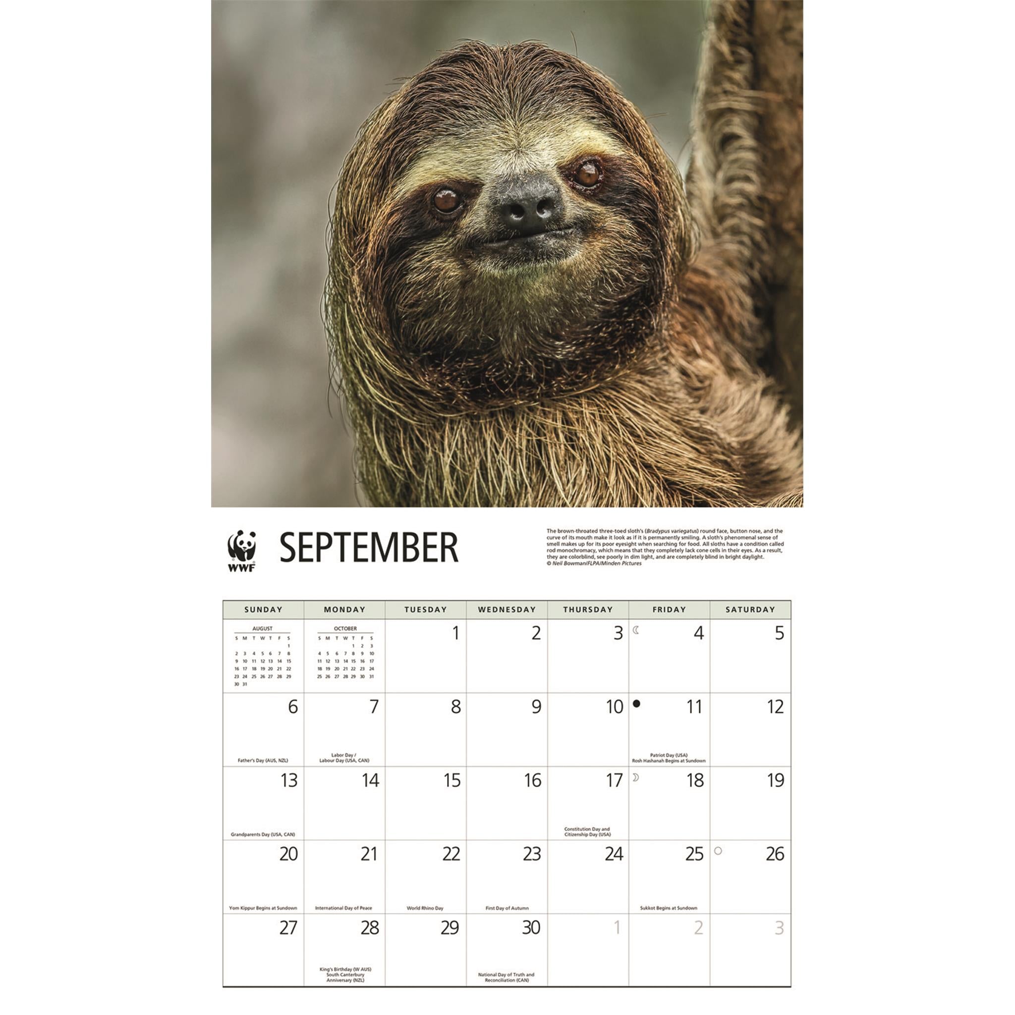 World Wildlife Fund Sloths 2026 Wall Calendar