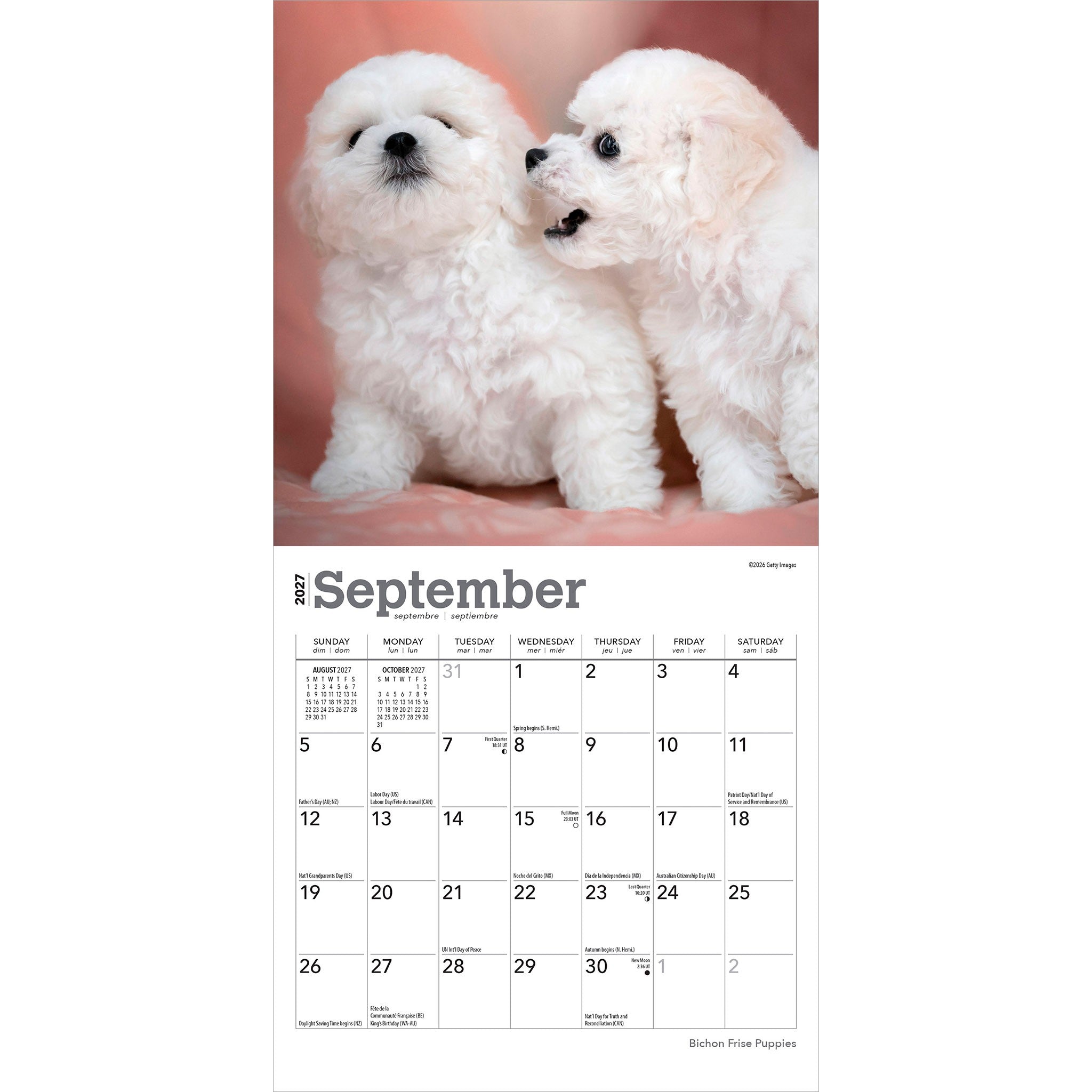 Bichon Frise Puppies 2027 Mini Calendar