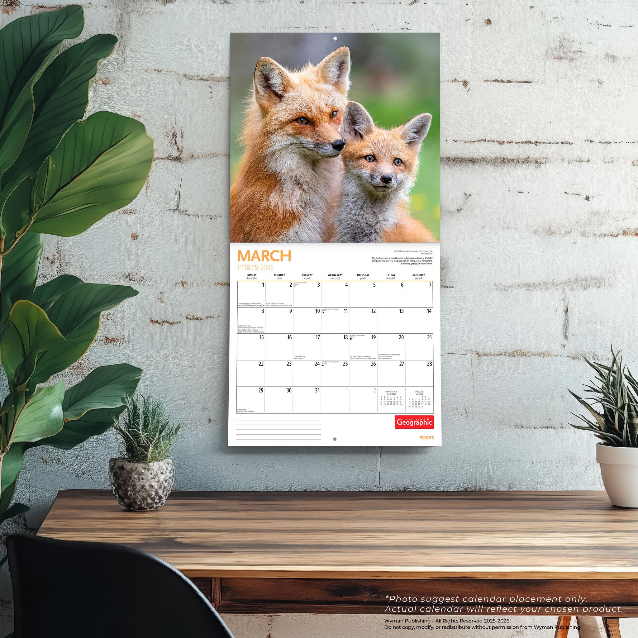 Calendrier mural Canadian Geographic Foxes 2026 - Disponible uniquement en ligne