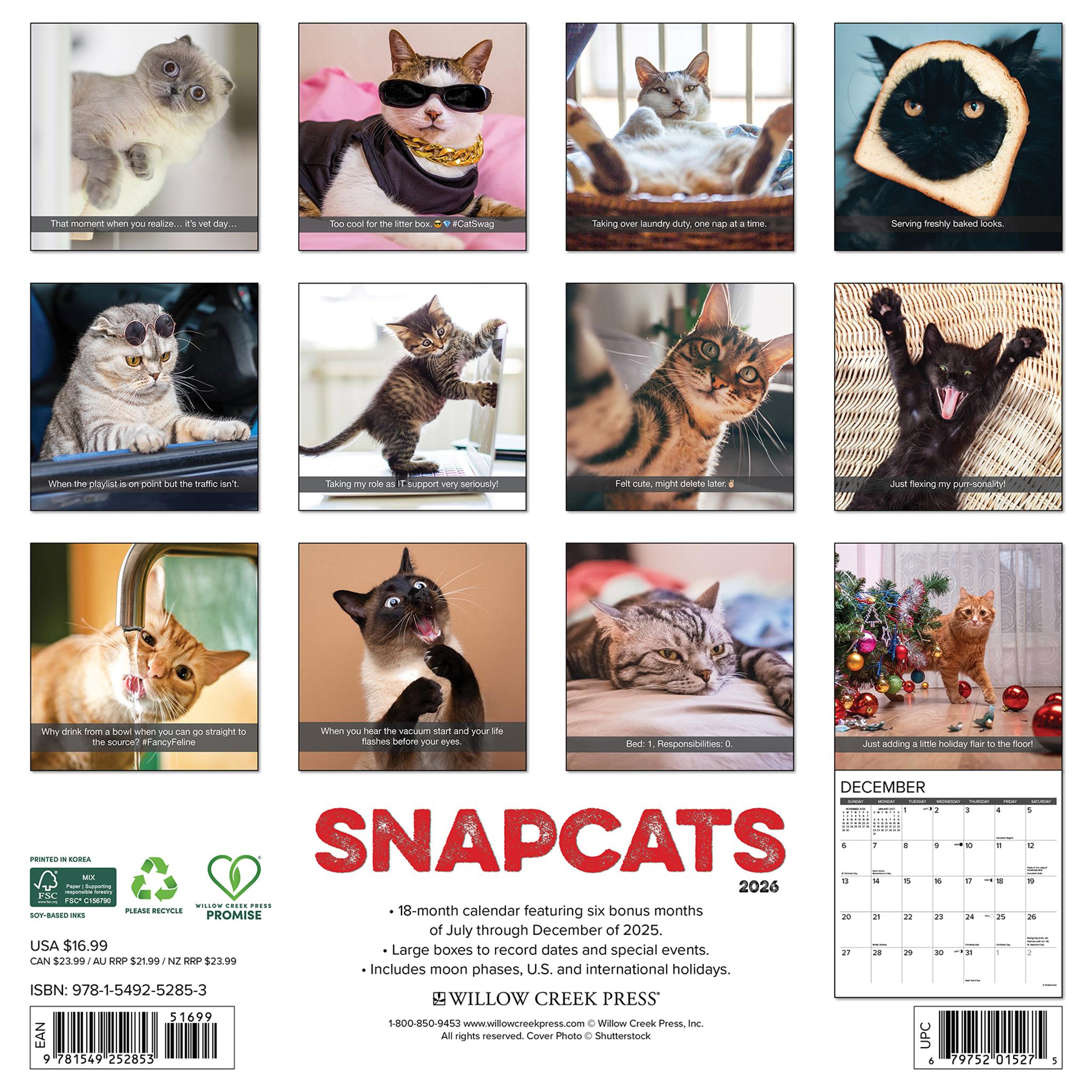 Calendrier mural Snapcats 2026