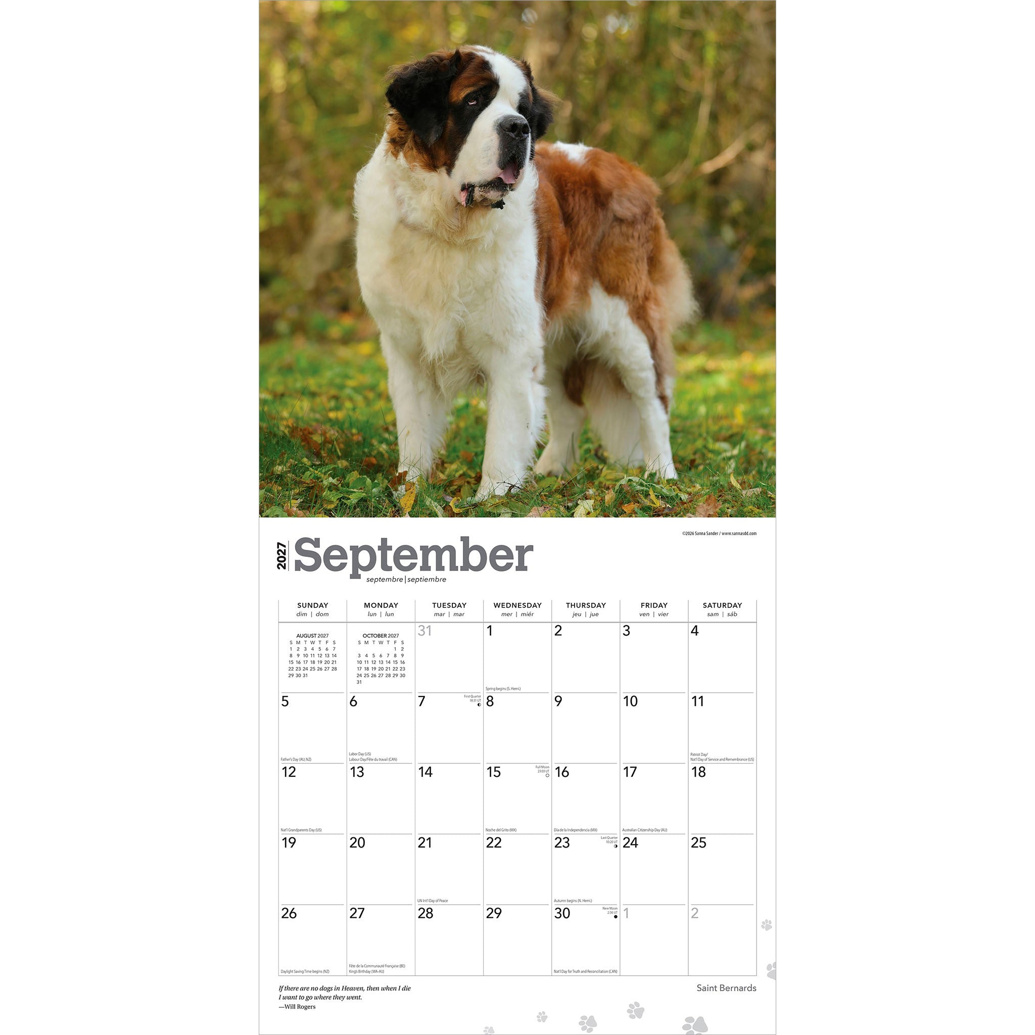 Saint Bernards 2027 Wall Calendar