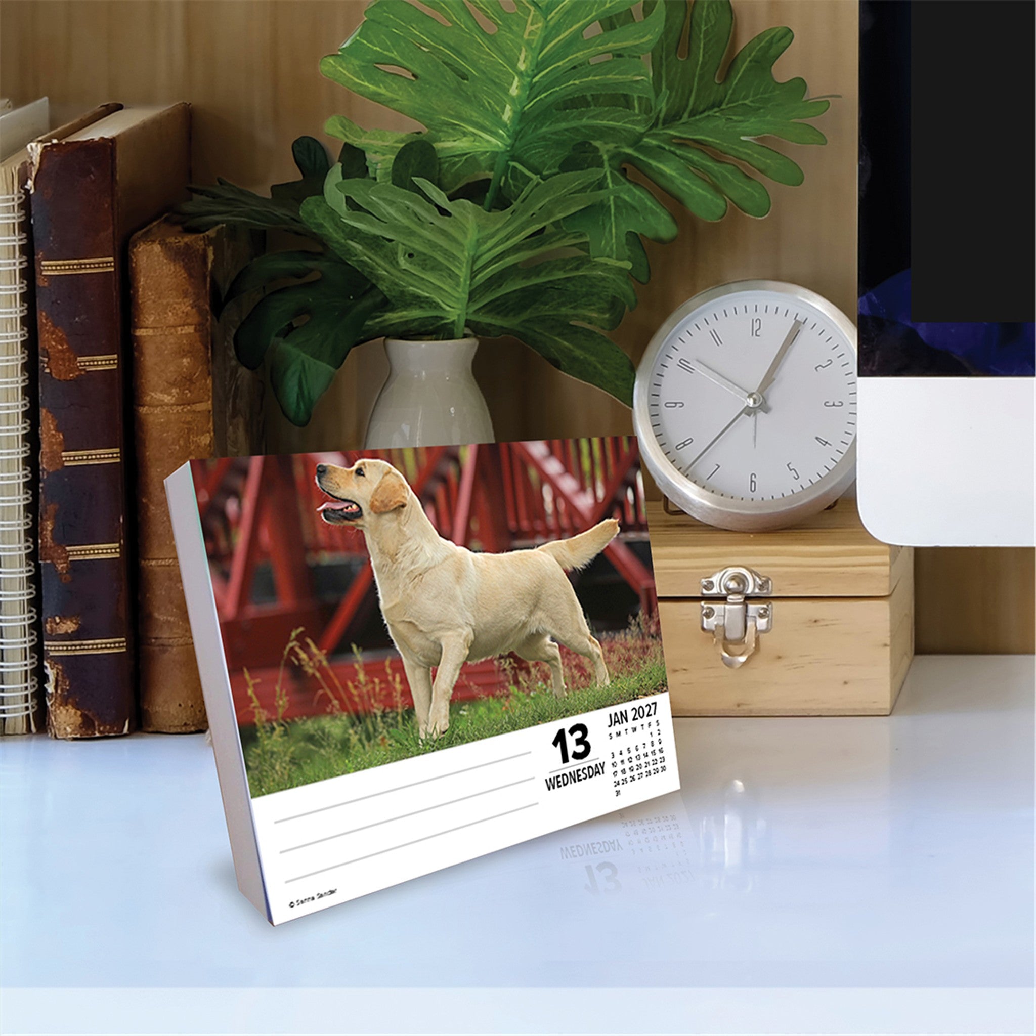 Labs 2027 Box Calendar - Online Only